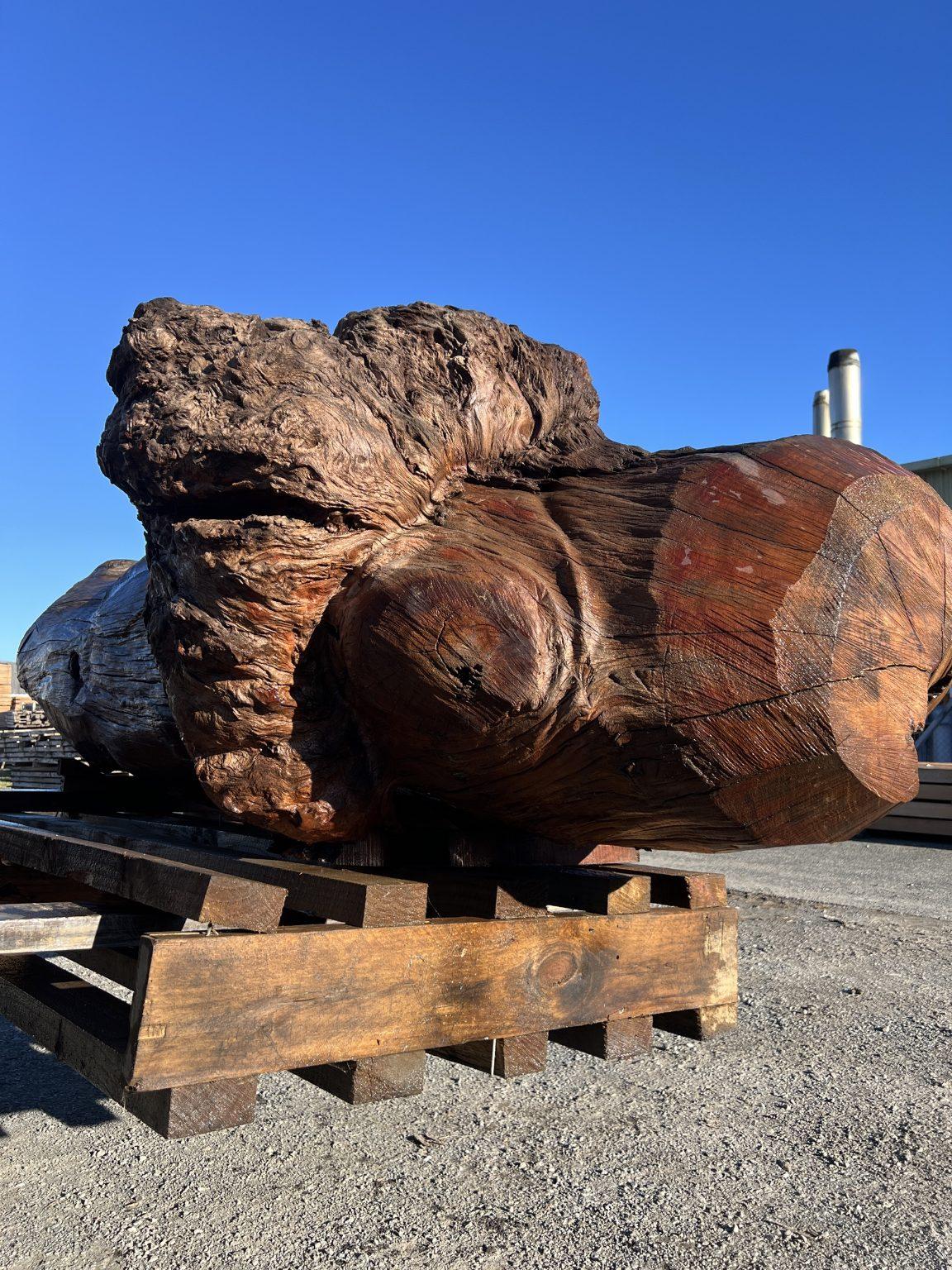 AK250005 Ancient Swamp Kauri Stump For Sale 6