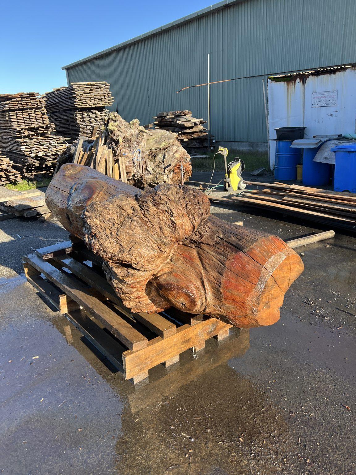 AK250005 Ancient Swamp Kauri Stump For Sale 11