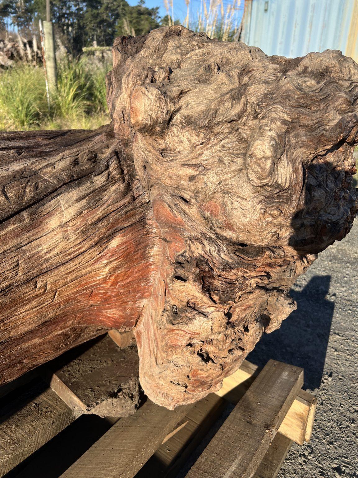 Ancient Swamp Kauri Stump — ITEM AK250005

800kg Ancient Kauri Burl Log – Natural Art / Collector’s Showpiece

Specifications:
Length: 2.7m
Log Diameter: ~700mm
Burl Size: ~70 × 50 × 50cm
Total Weight: Approx. 800kg

A stunning and one-of-a-kind