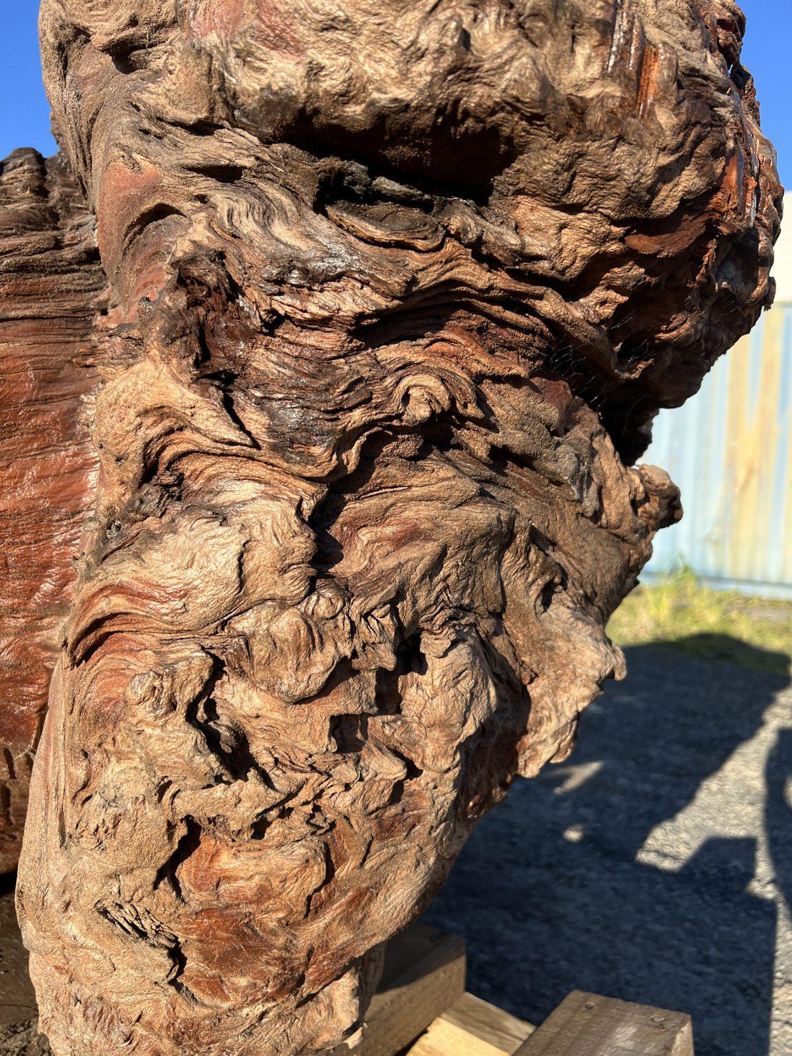 New Zealand AK250005 Ancient Swamp Kauri Stump For Sale