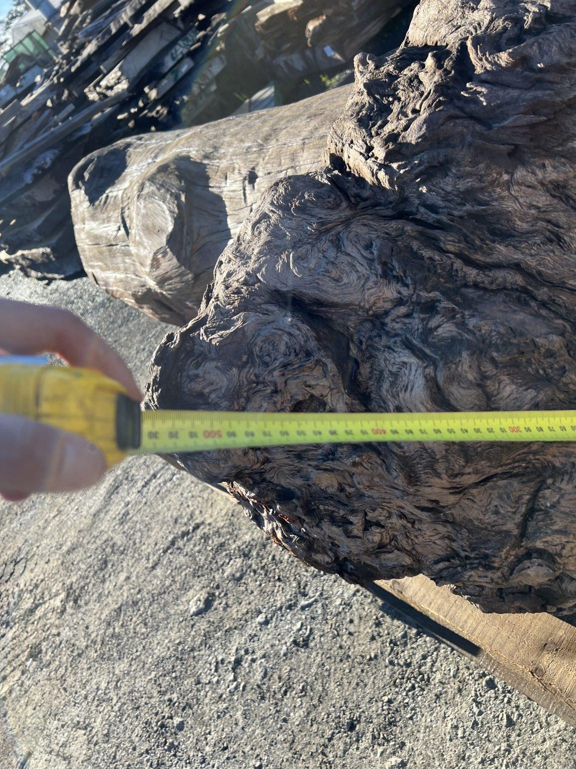 Contemporary AK250005 Ancient Swamp Kauri Stump For Sale