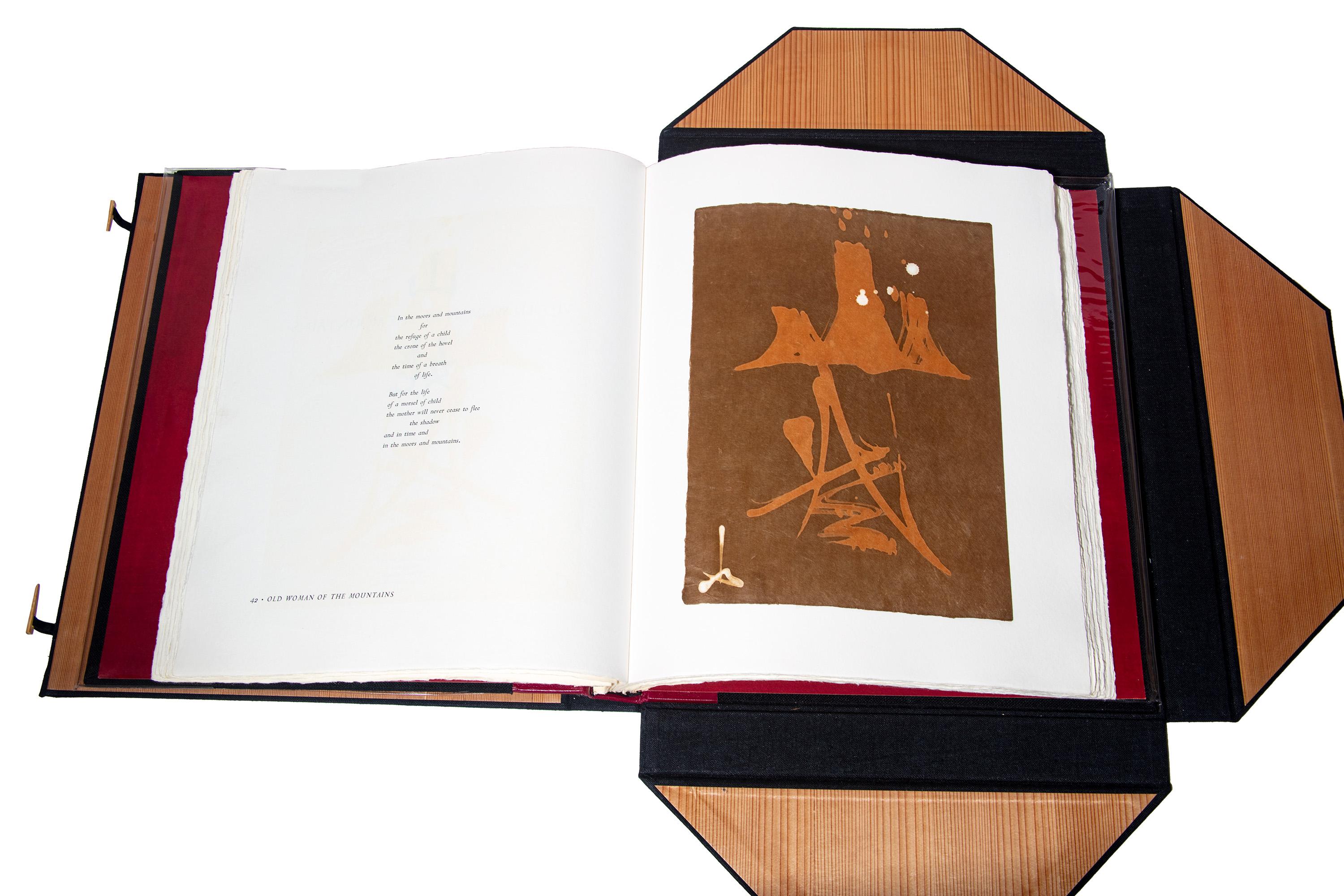 The Mystery of Things : Évocations of the Japanese Supernatural Text 2