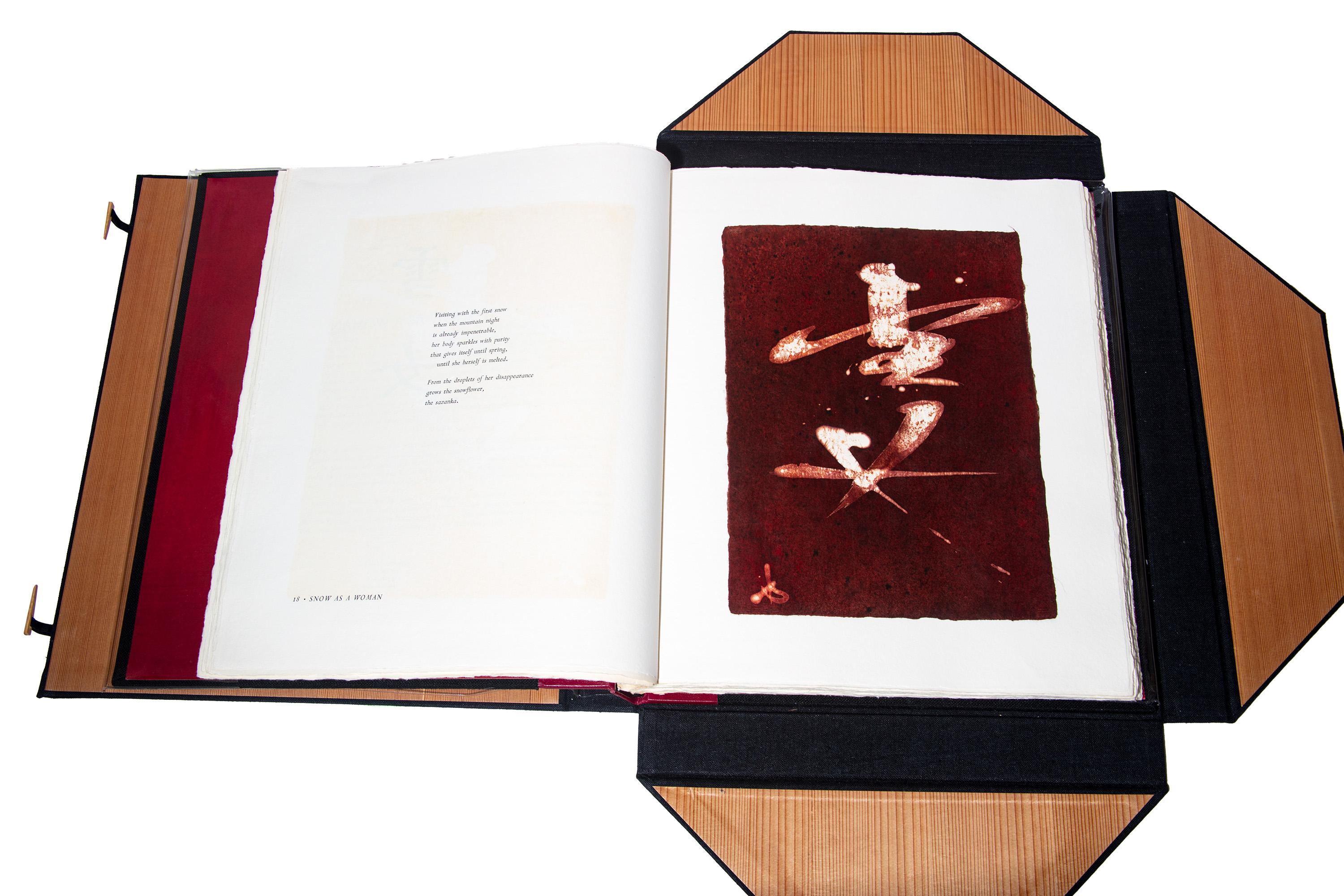 The Mystery of Things : Évocations of the Japanese Supernatural Text 4