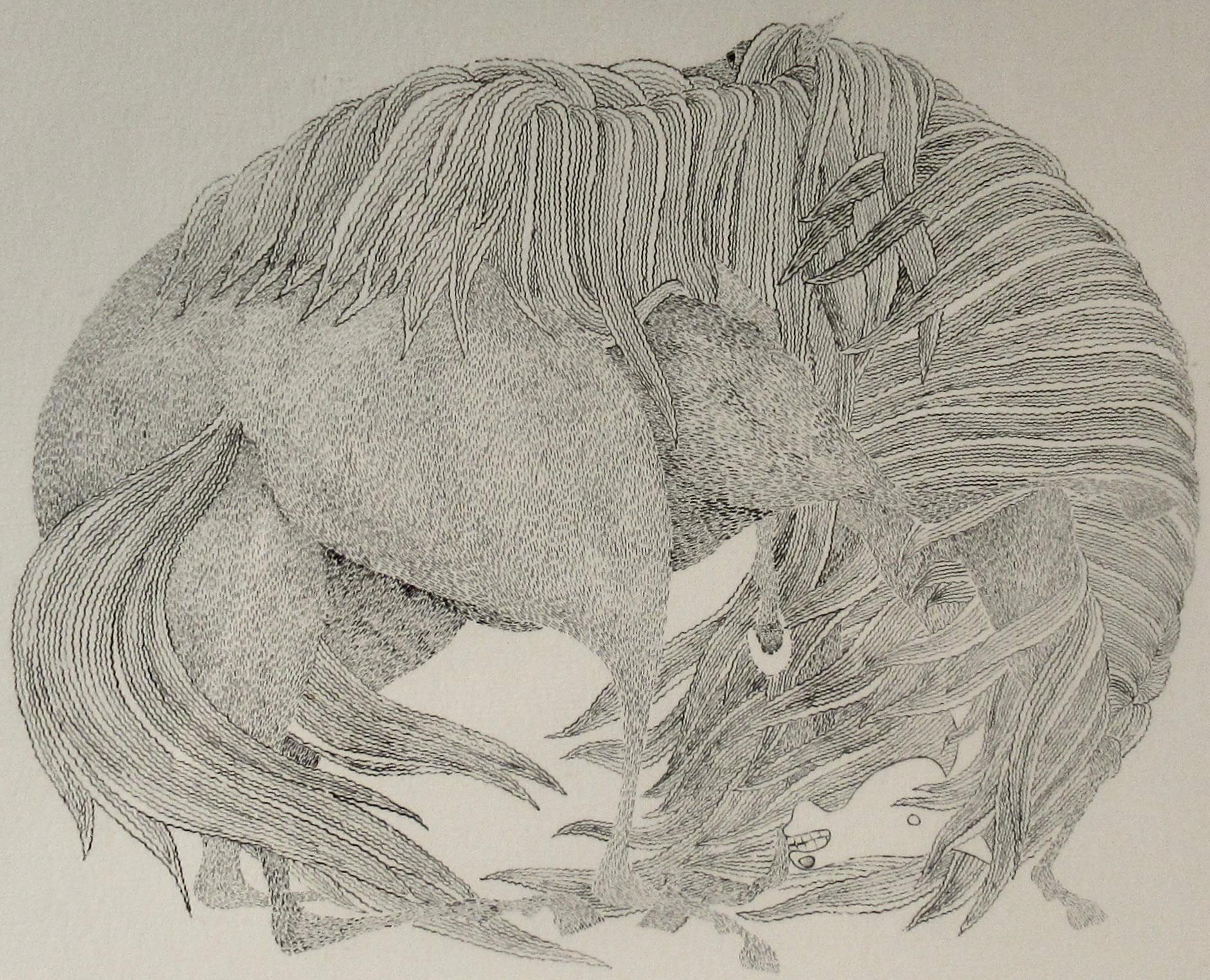 Pferd (Moderne), Print, von Akio Yamao