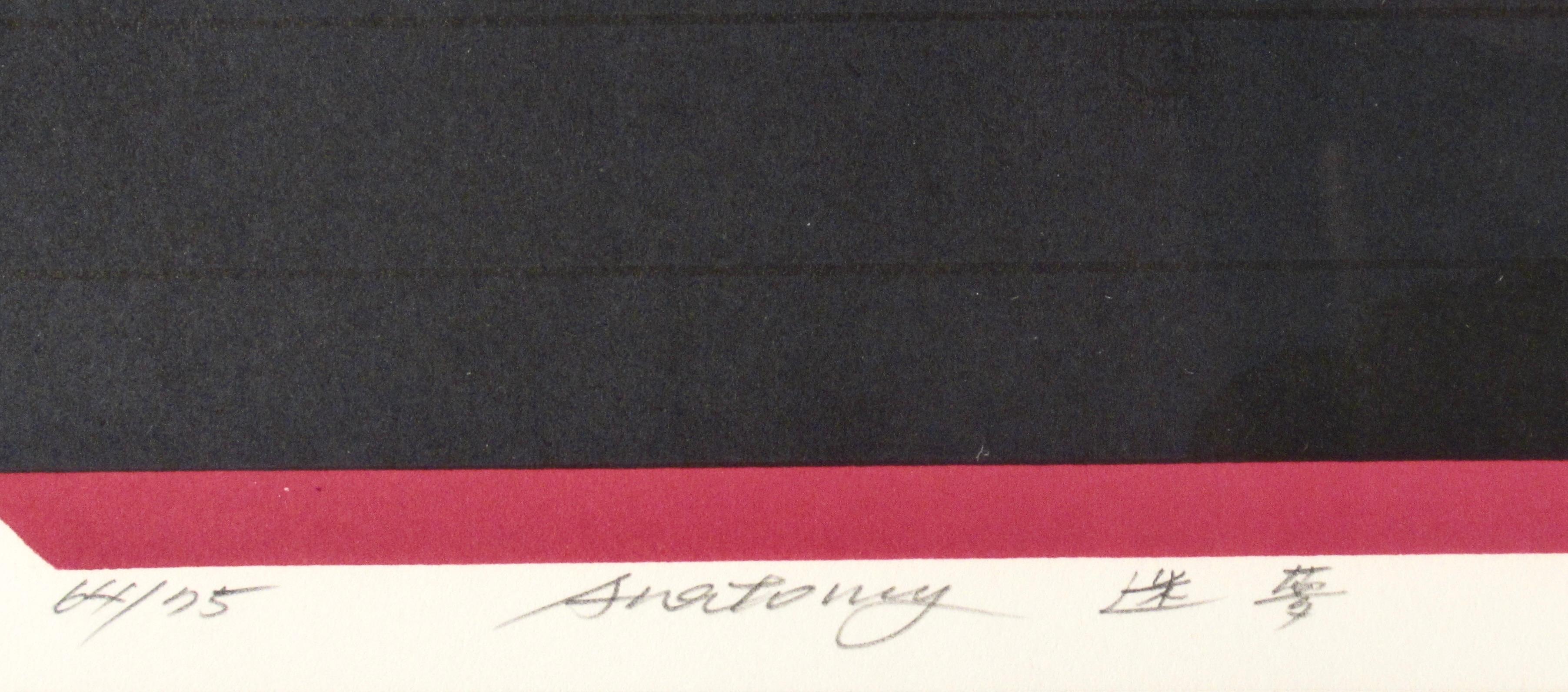 Anatomia in vendita 1