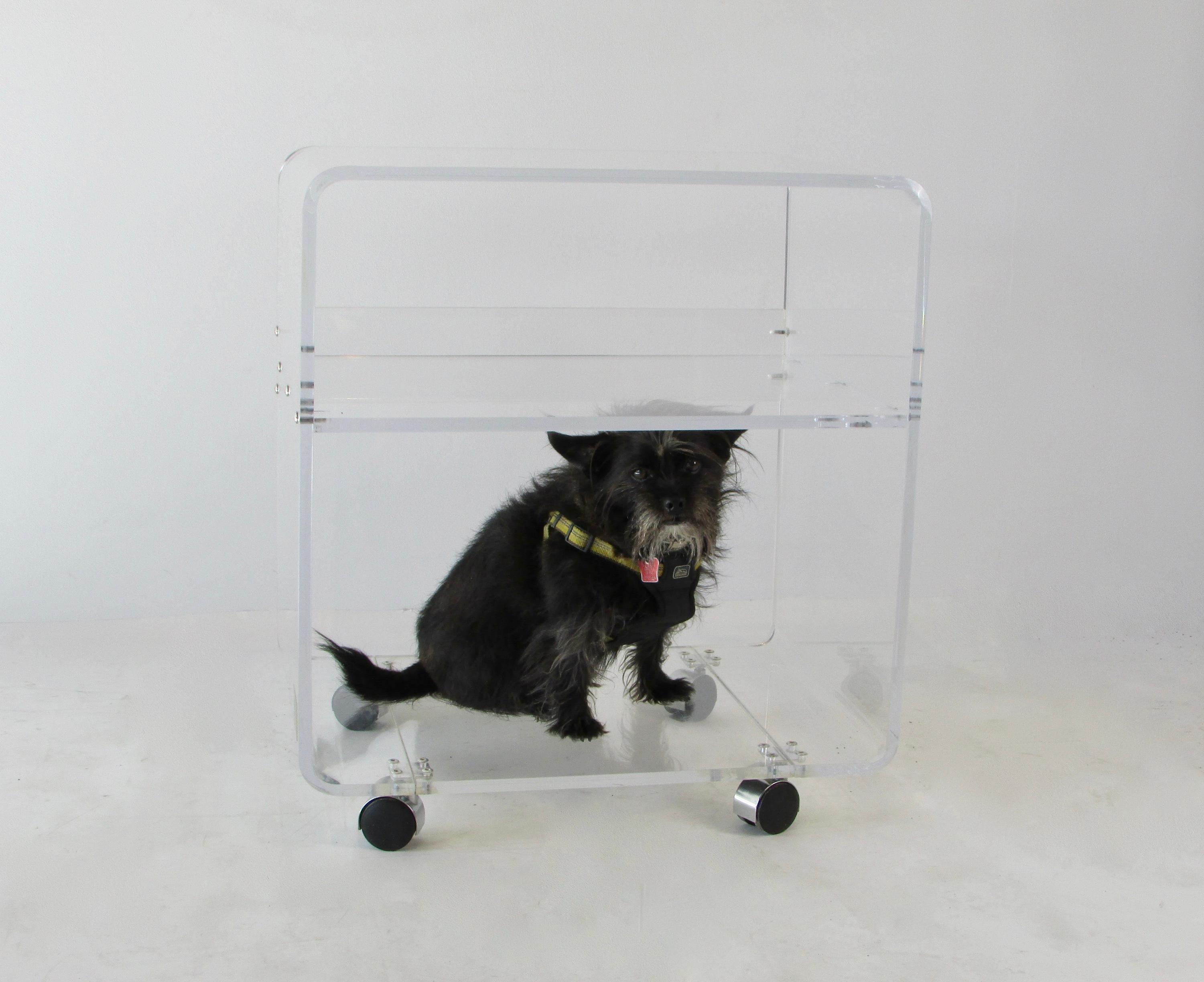 A waterfall edge acrylic rolling bar/serving cart on chromed castors by AKKO, Inc., Lawrence, MA. Clean condition. I appreciate the diversity and mobility of the cart as well as it's lightness of being.
The model is my rescue dog, he is not included.
