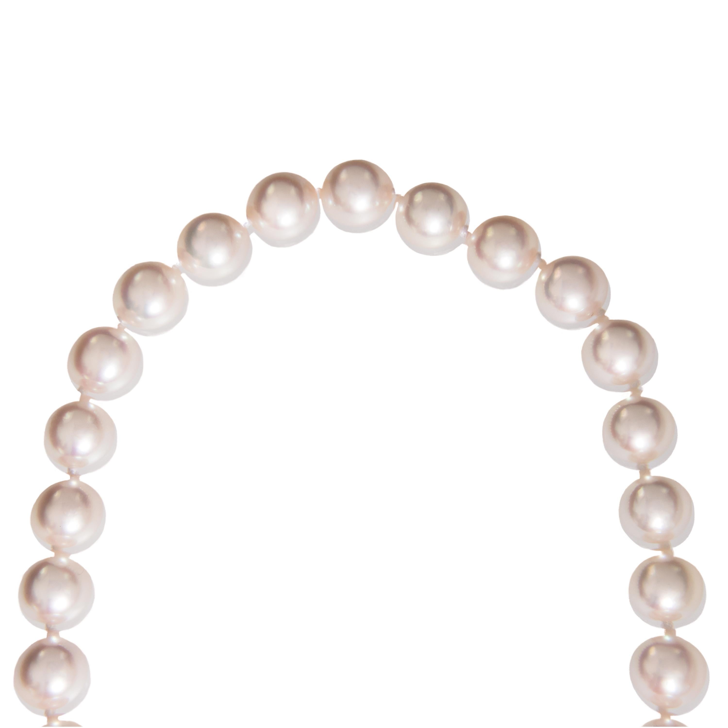 akoya vs freshwater pearls
