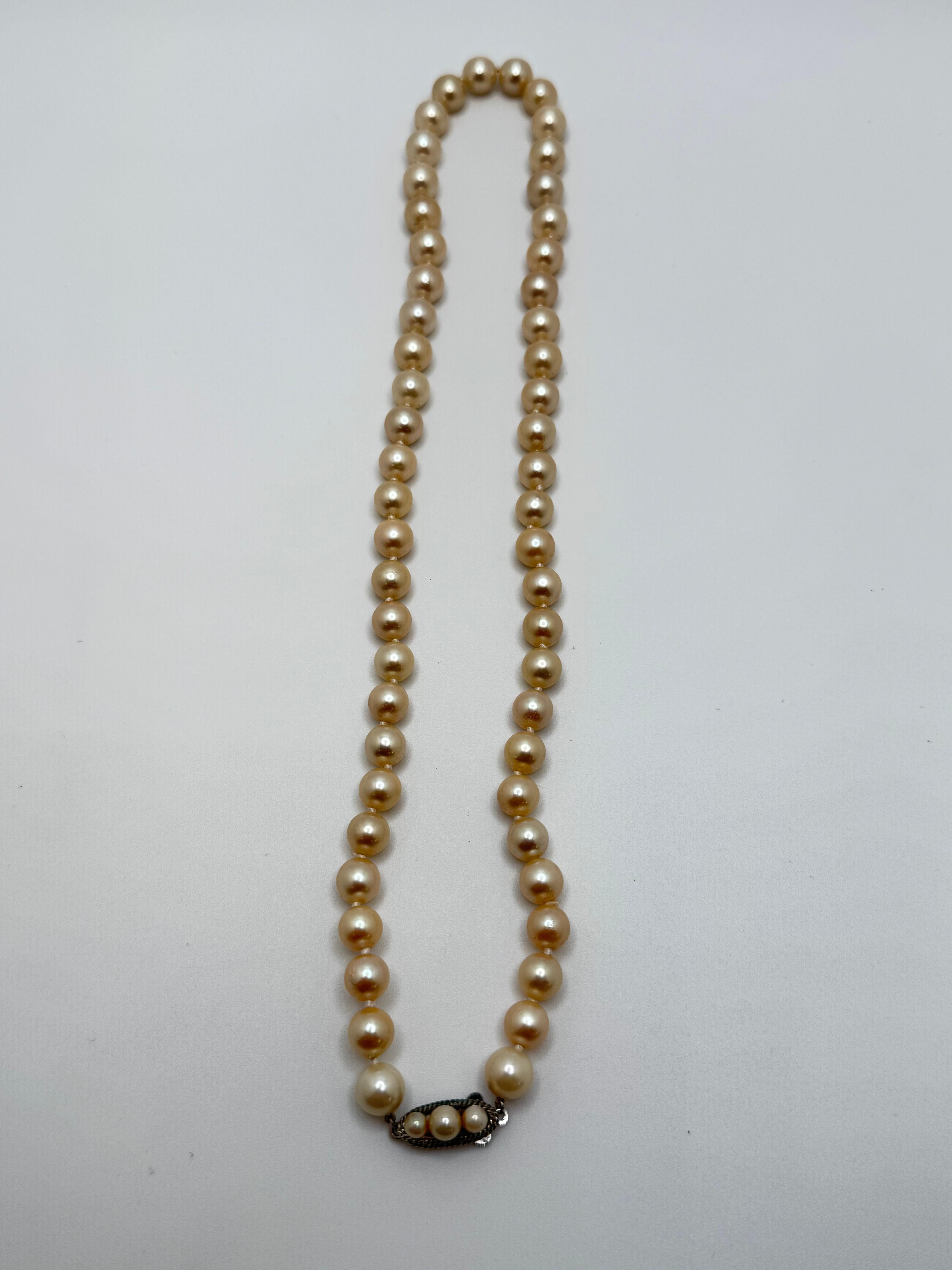 Taglio rotondo Akoya Cream Pearl Necklace in vendita