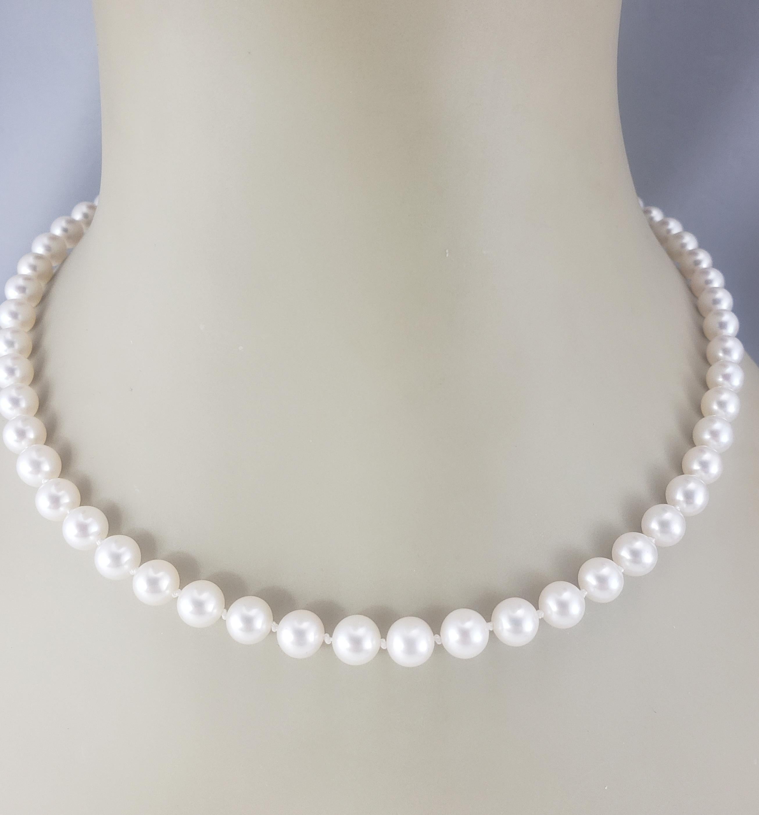 Akoya Cultured Pearl Necklace with 14K Yellow Gold Closure  #19461 For Sale 4