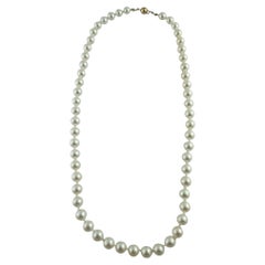 Vintage Akoya Cultured Pearl Necklace with 14K Yellow Gold Closure  #19461