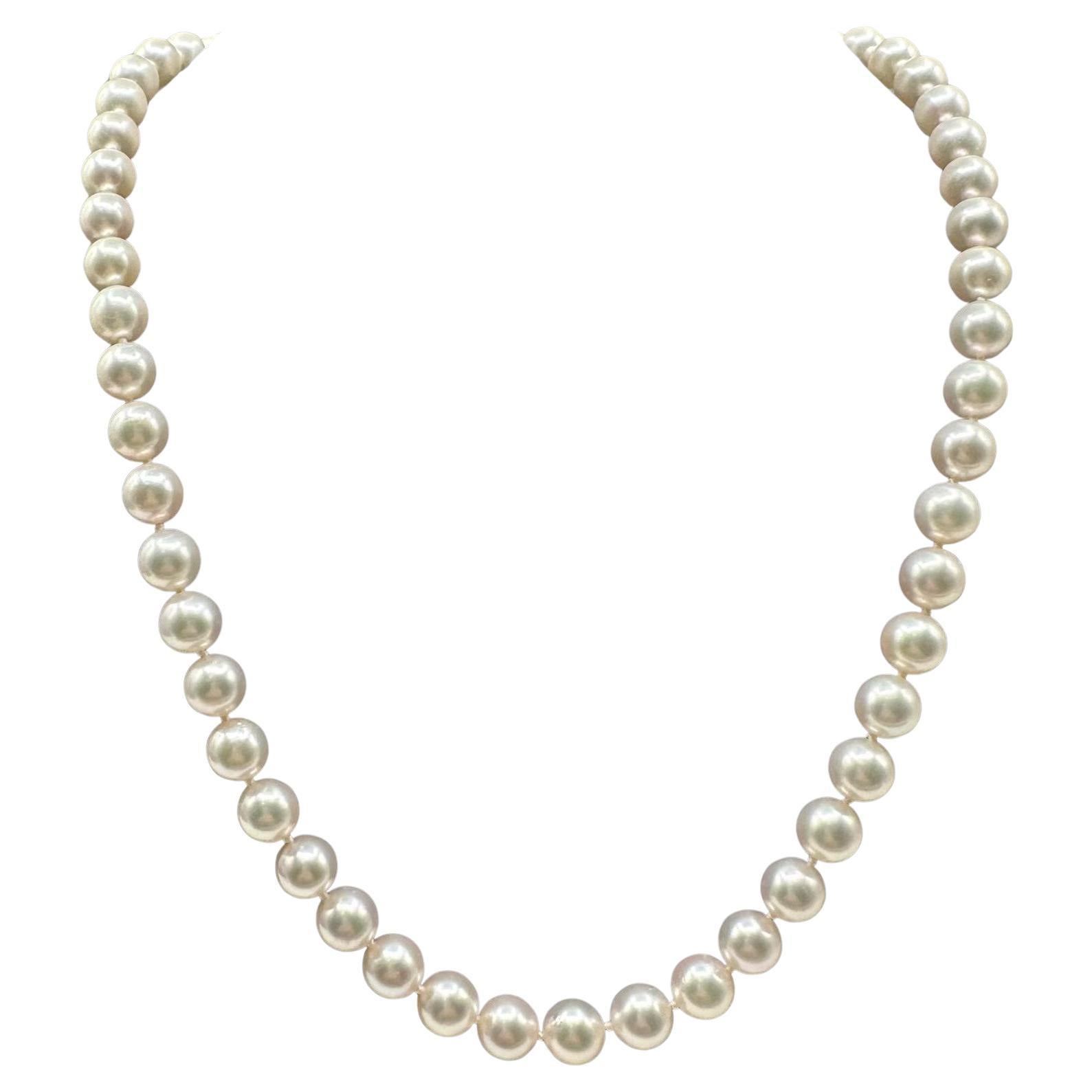 Filo di perle di coltura Akoya in oro giallo 14 carati - 6,5-7 mm, 18 cm, usato