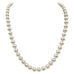 Filo di perle di coltura Akoya in oro giallo 14 carati - 6,5-7 mm, 18 cm, usato