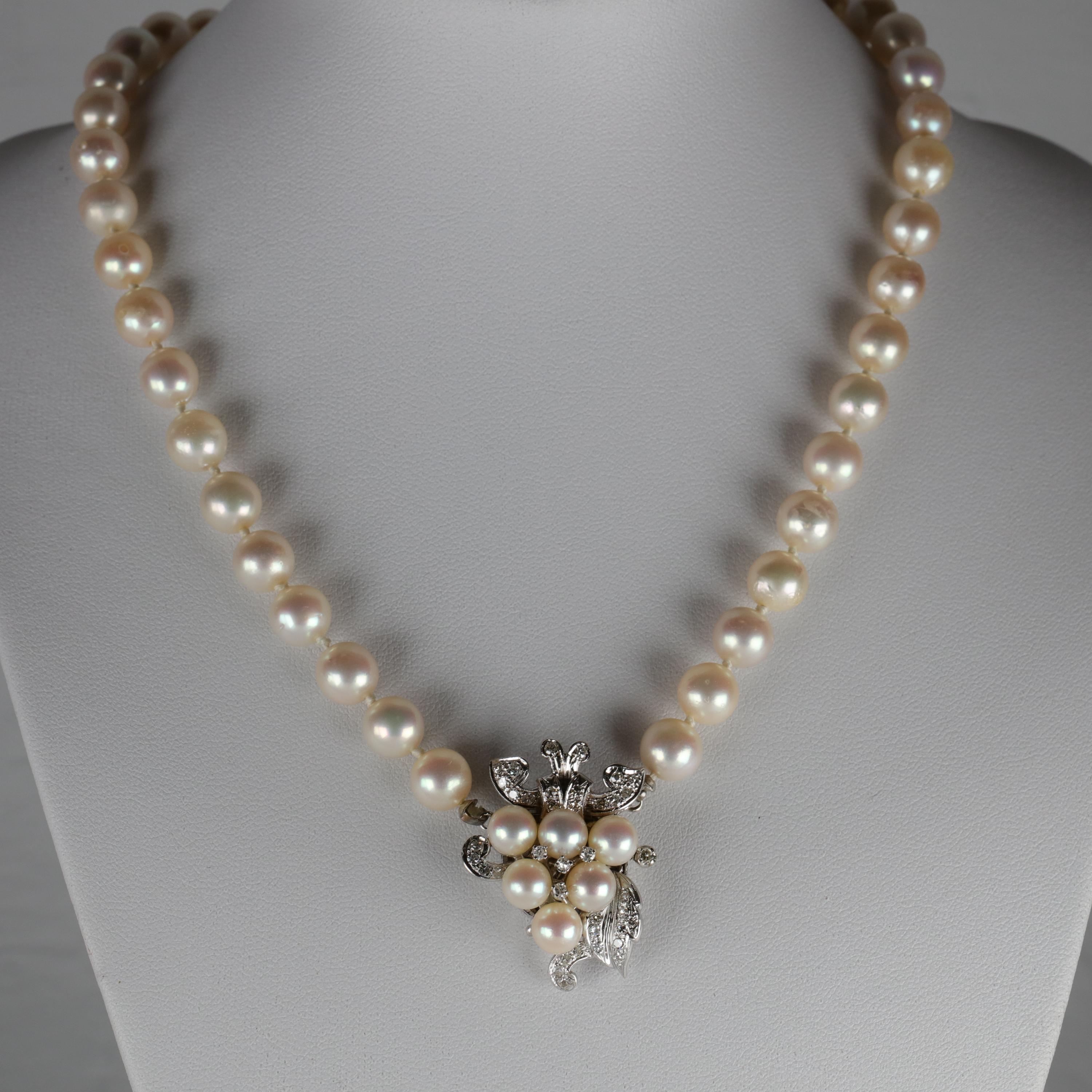 Forty-three (43) cultured saltwater Akoya pearls measuring between 8mm - 8.5mm comprise this 16.5