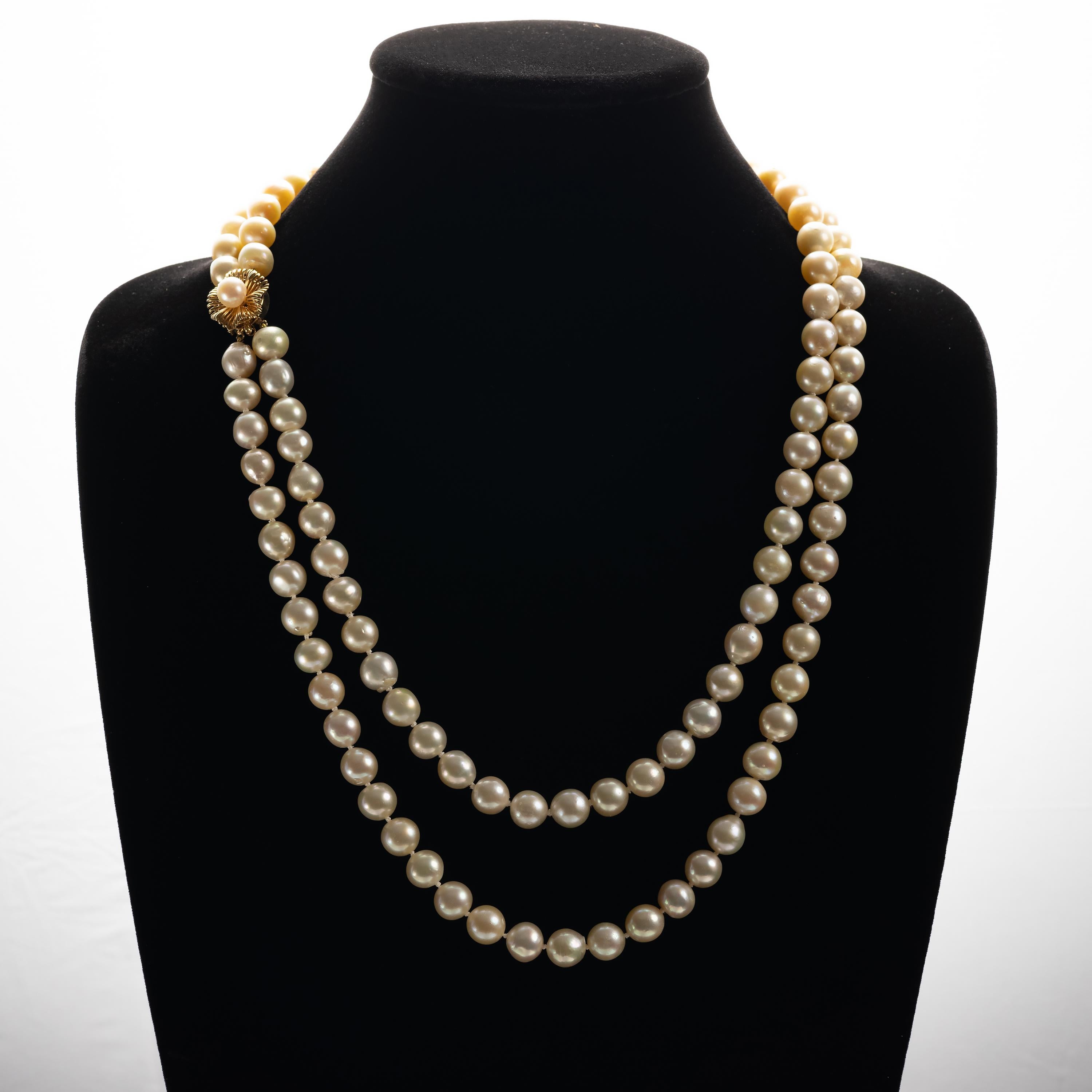 Akoya Pearl Double Strand Necklace 1