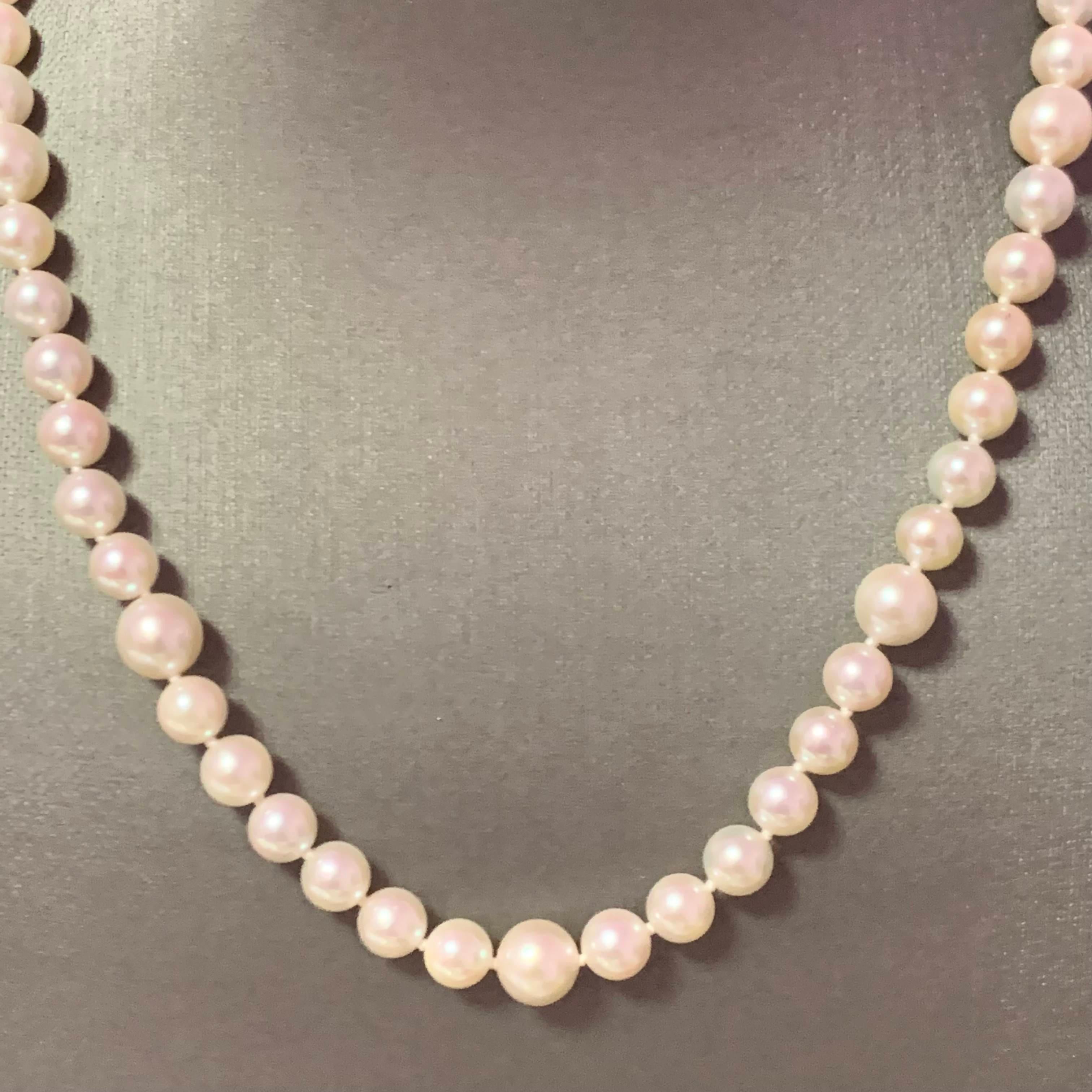 Akoya Pearl Necklace 14k Gold Certified For Sale 5