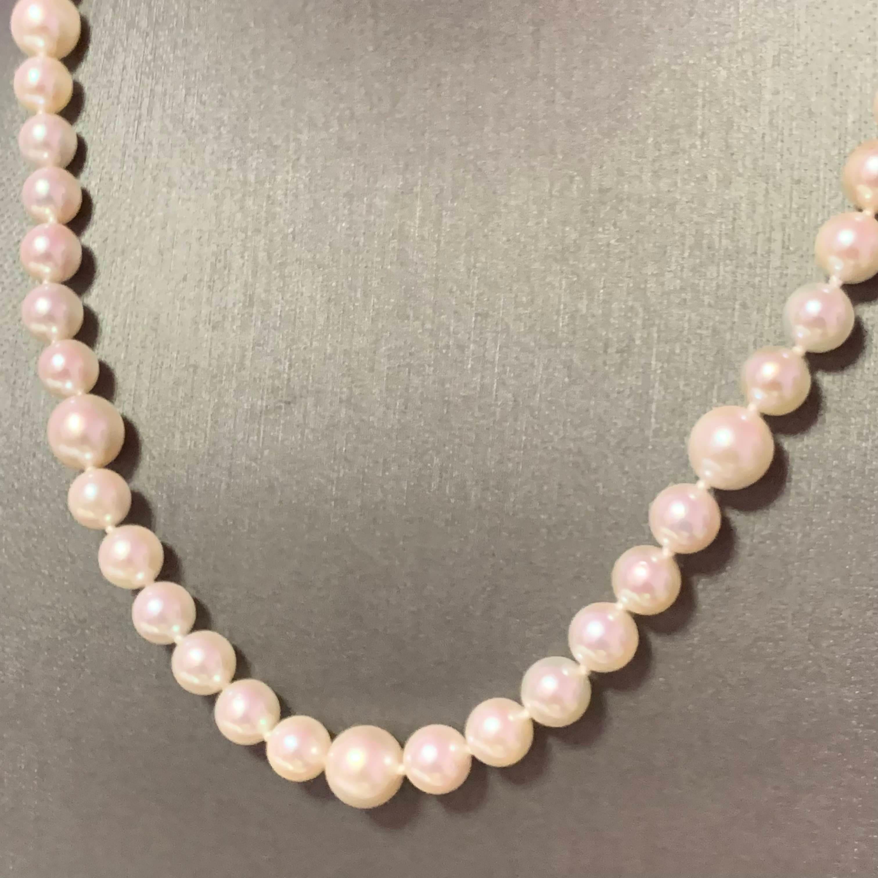 Akoya Pearl Necklace 14k Gold Certified For Sale 3
