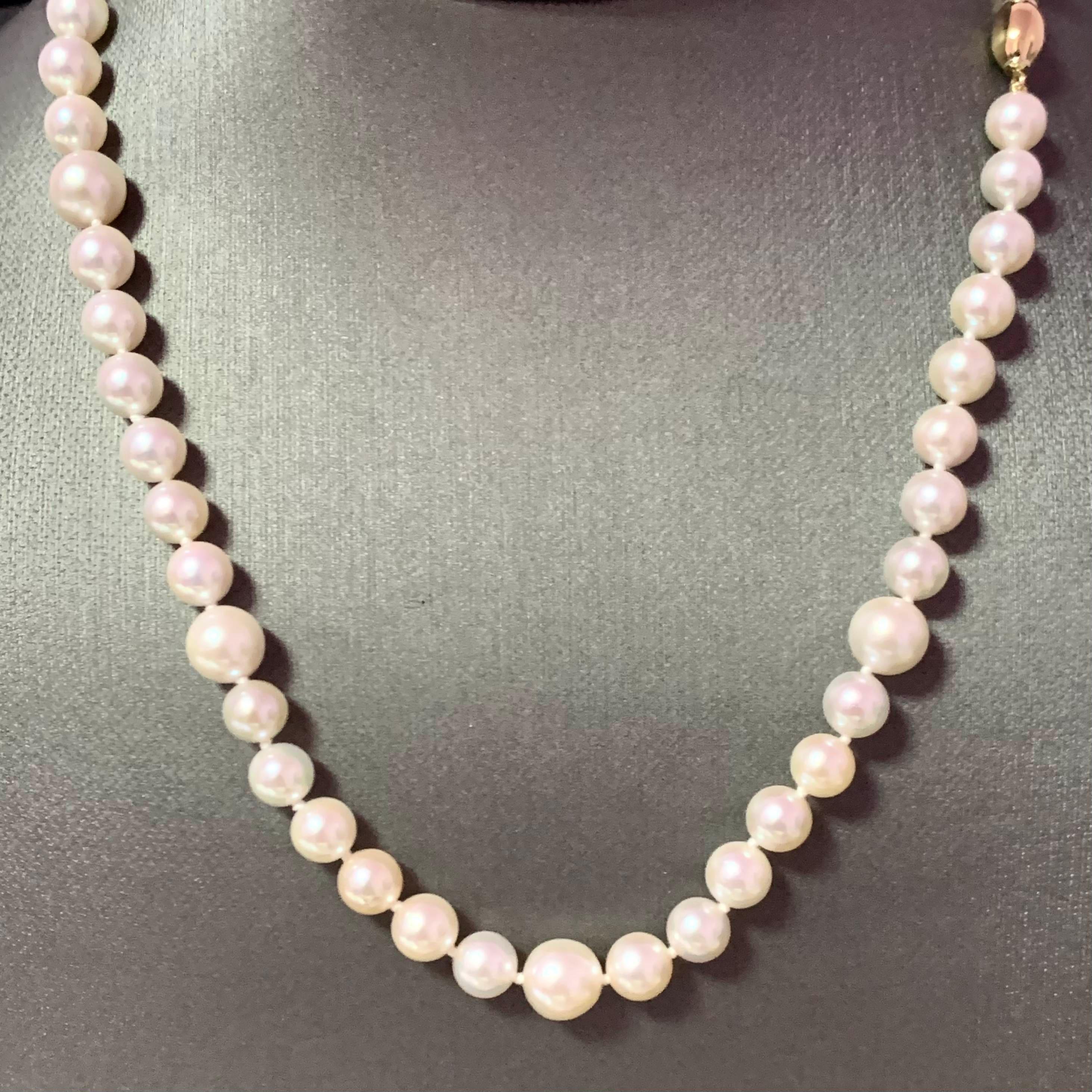 Akoya Pearl Necklace 14k Gold Certified For Sale 4