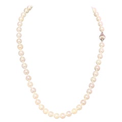 Akoya Pearl Necklace 14k Gold 18" 8 mm Certified