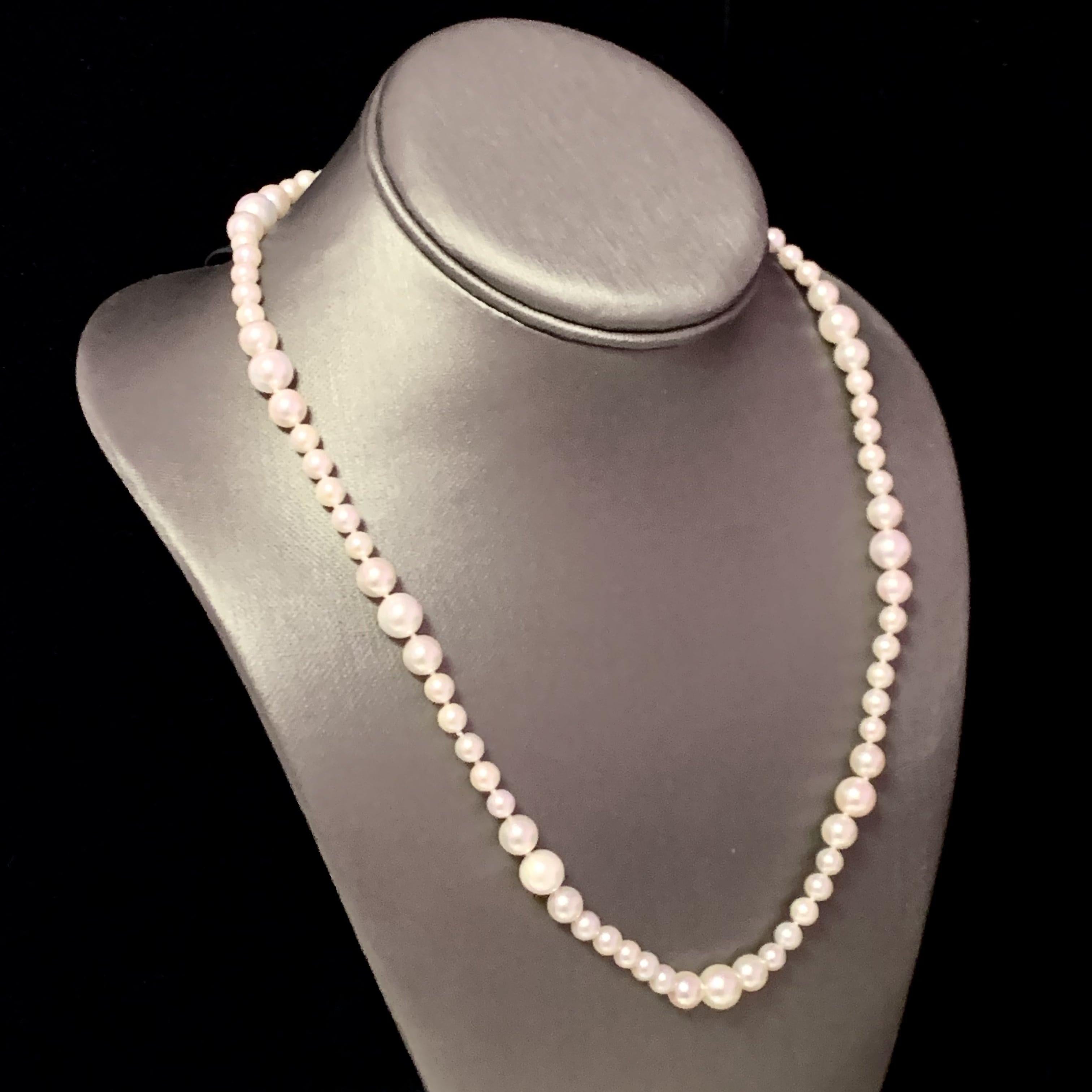 Fine Quality Akoya Pearl Necklace 14k Yellow Gold 19.5