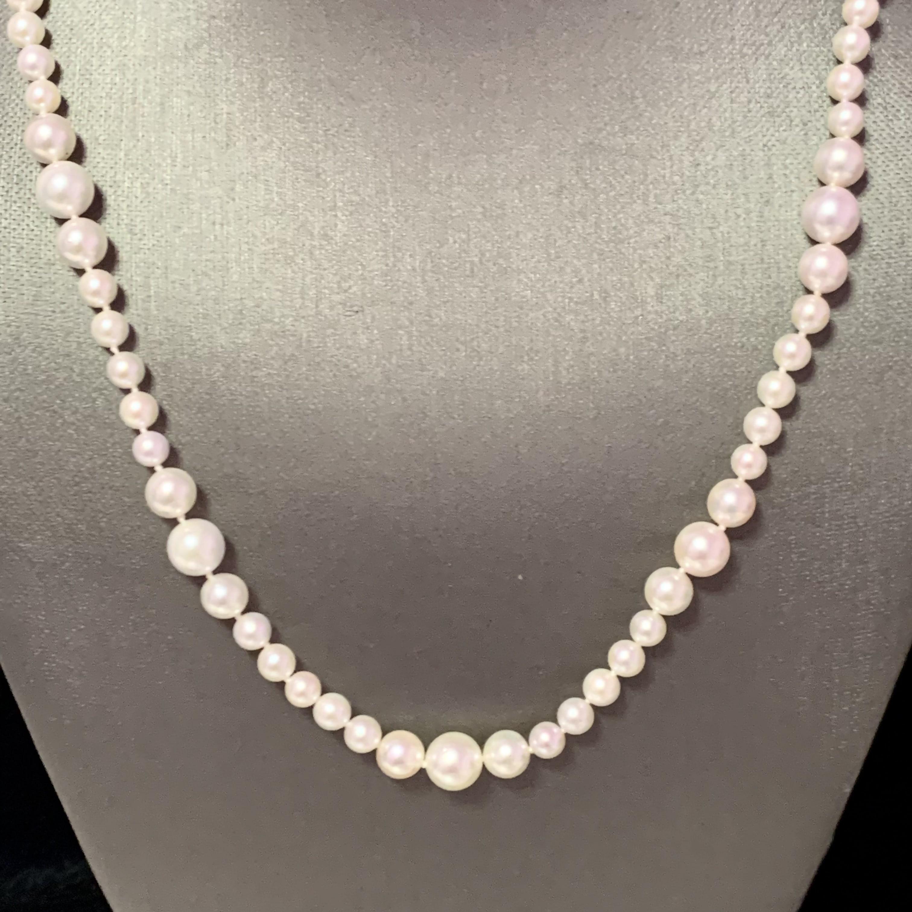 Akoya Pearl Necklace 14k Yellow Gold Certified For Sale 5