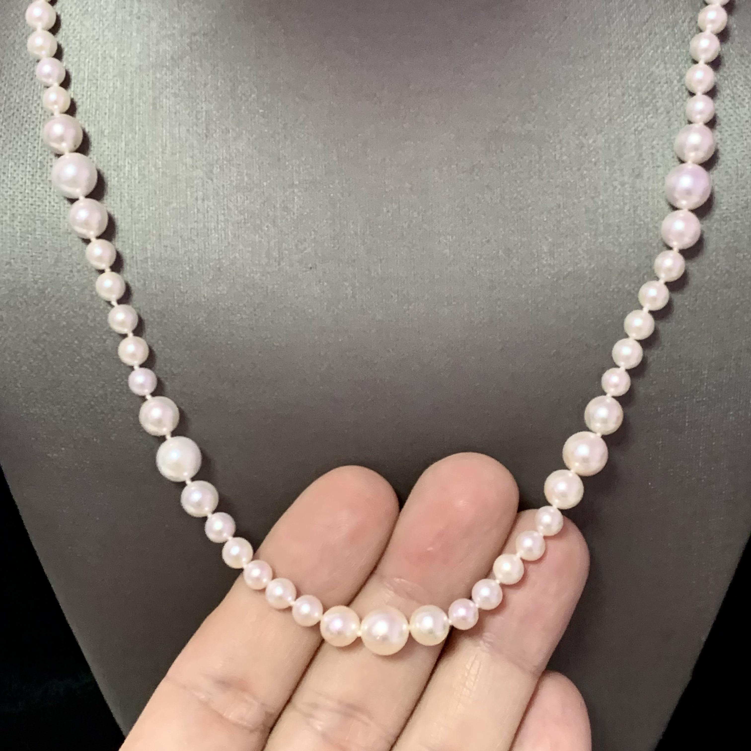 Akoya Pearl Necklace 14k Yellow Gold Certified For Sale 3