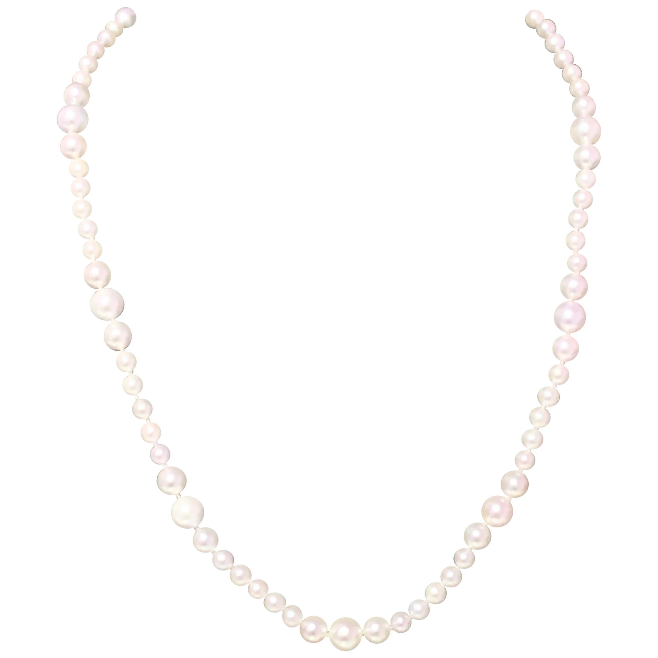 Collier de perles Akoya en or jaune 14 carats 19,5"" 8,5 mm certifié