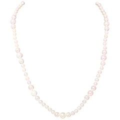 Collier de perles Akoya en or jaune 14 carats 19,5"" 8,5 mm certifié