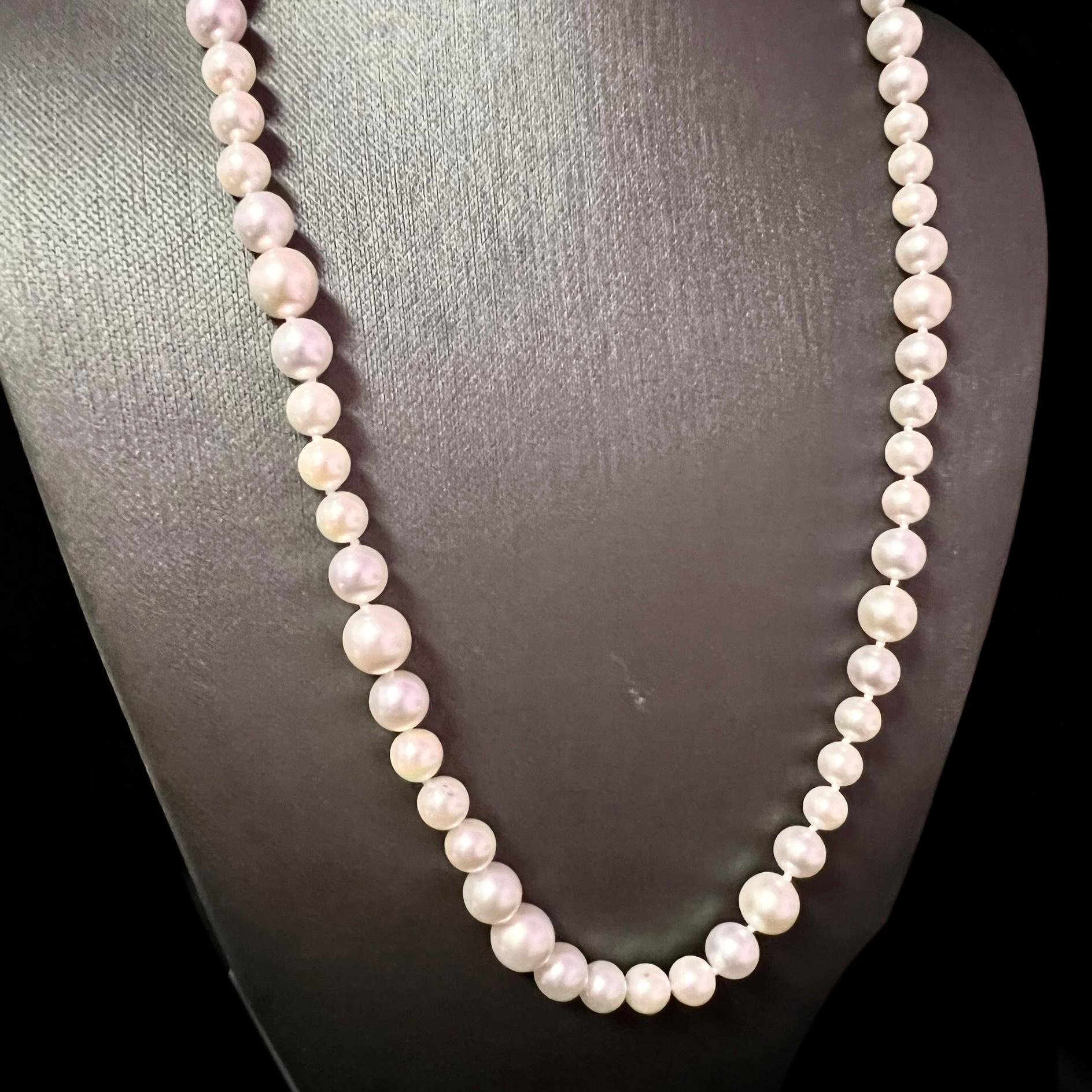 Akoya Pearl Necklace 21