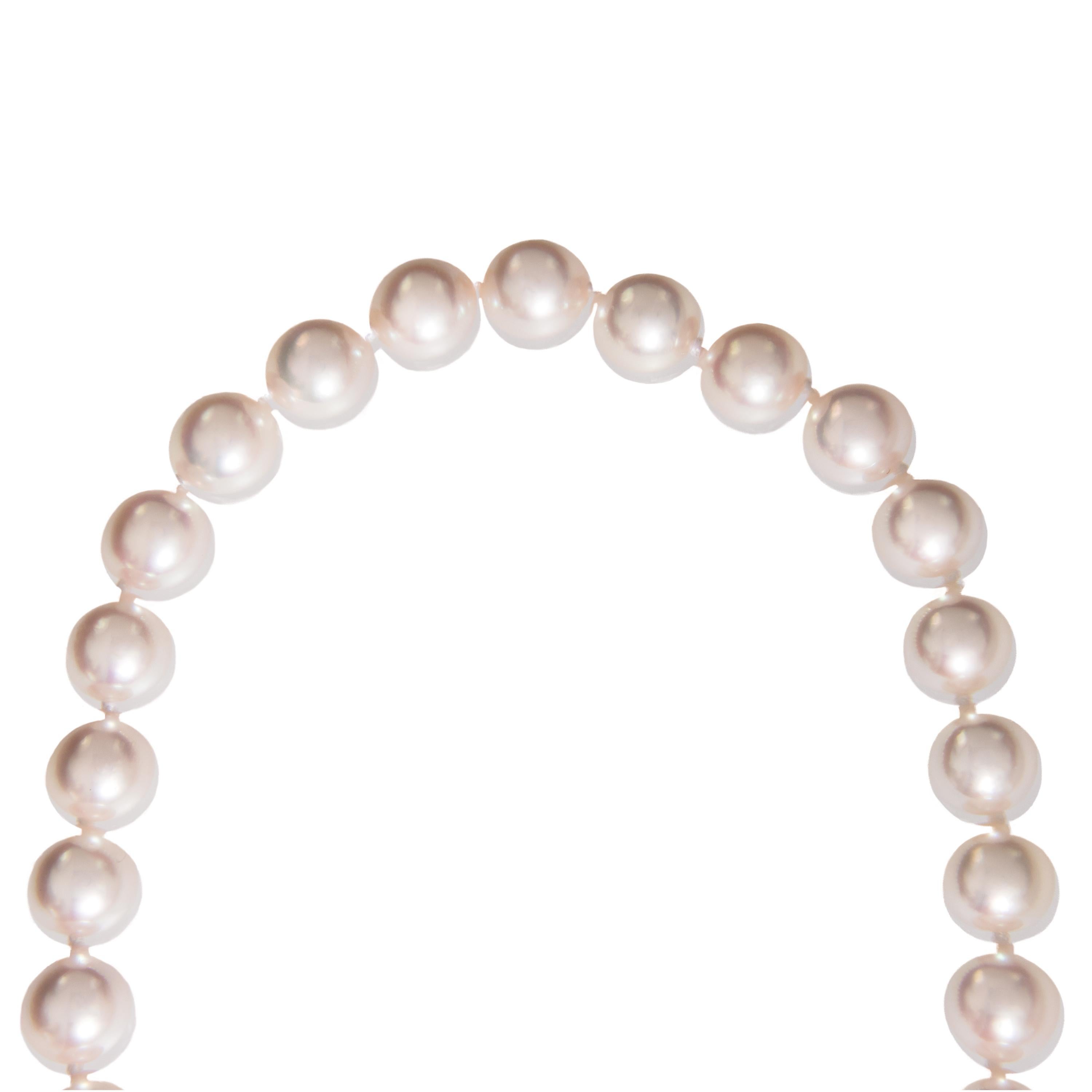 This necklace features 49 8-8.55 mm AA quality Akoya cultured pearls with a oval 14k white gold clasp. Akoya pearls are known for their perfect round shape and intense luster grown in the cold coastal waters of Japan. 18 inches in length. Weighs