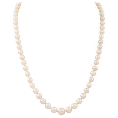 Akoya Pearl Necklace