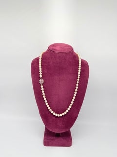 Akoya Pearl Necklace with 14 kt. White Gold and Ruby Clasp