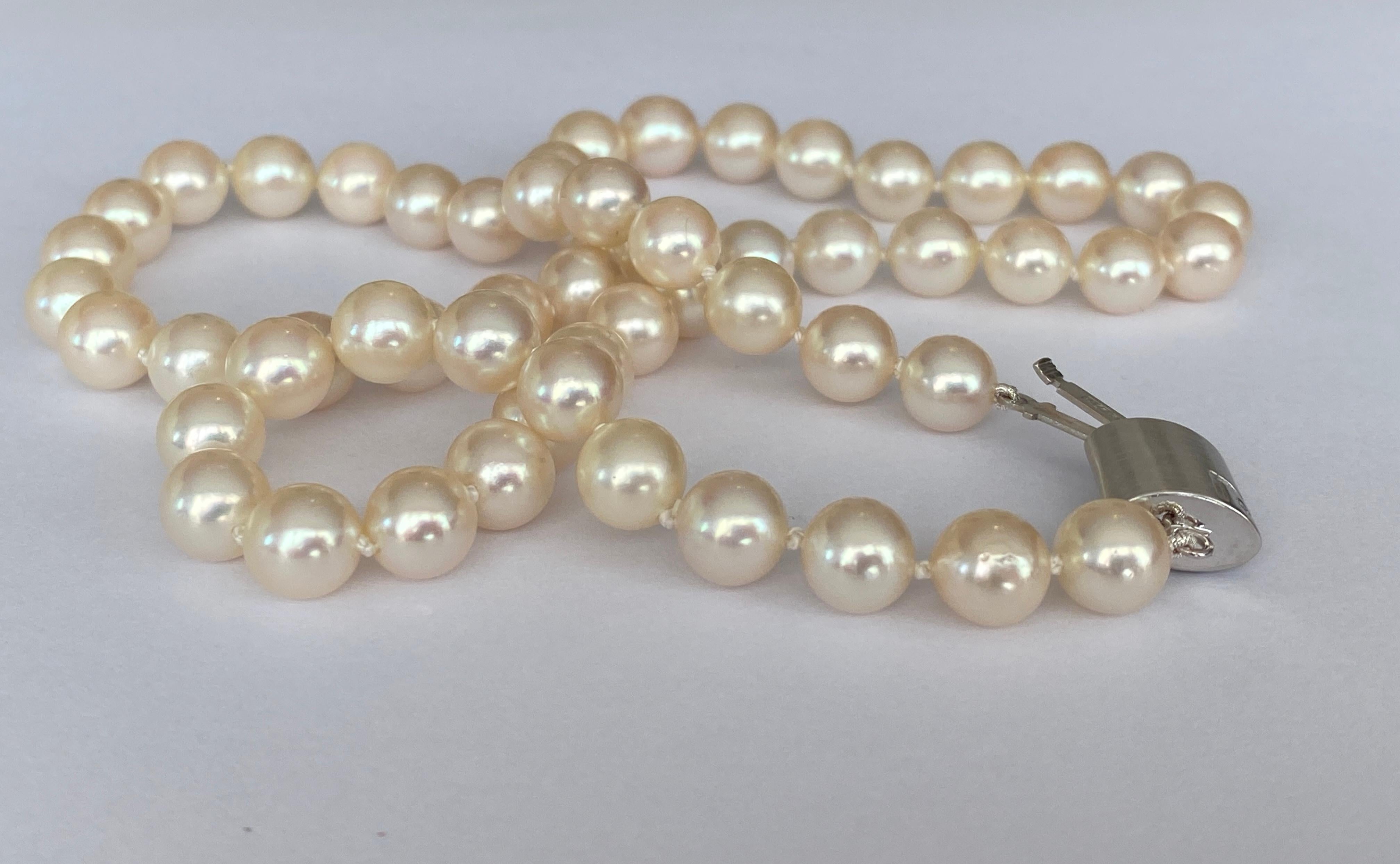 Akoya pearl necklace with 18 kt white gold clasp and one diamond For Sale 1