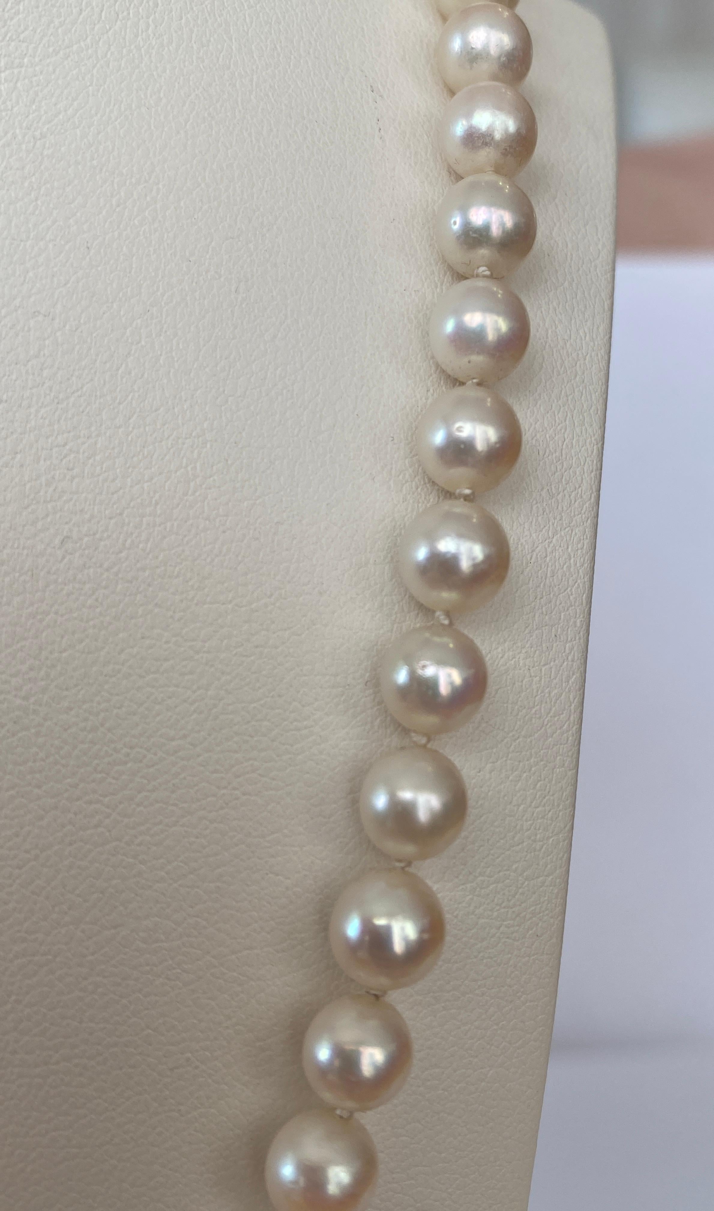 Akoya pearl necklace with 18 kt yellow gold and diamond clasp 1