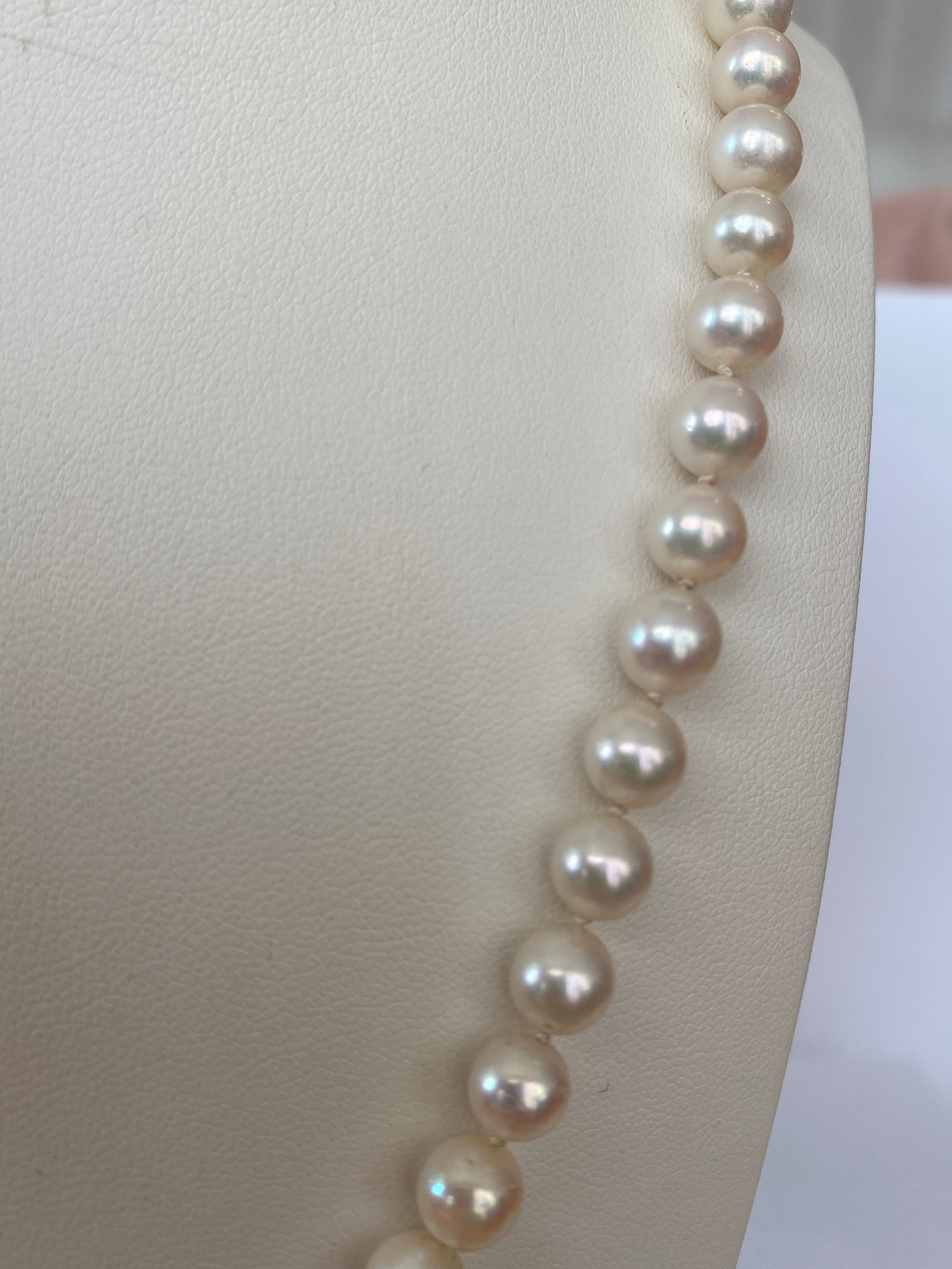 Akoya pearl necklace with 18 kt yellow gold clasp 5