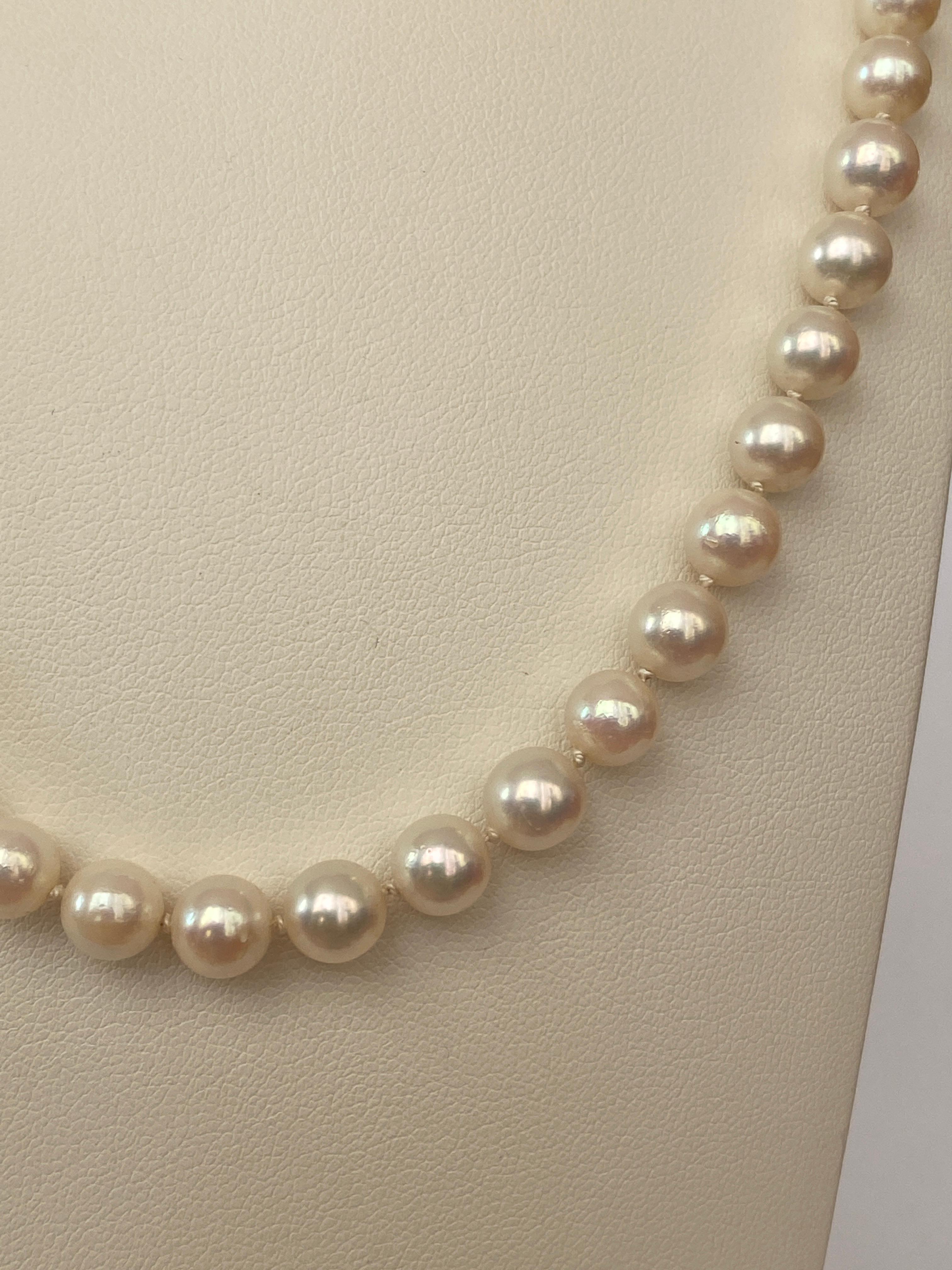 Women's Akoya pearl necklace with 18 kt yellow gold clasp