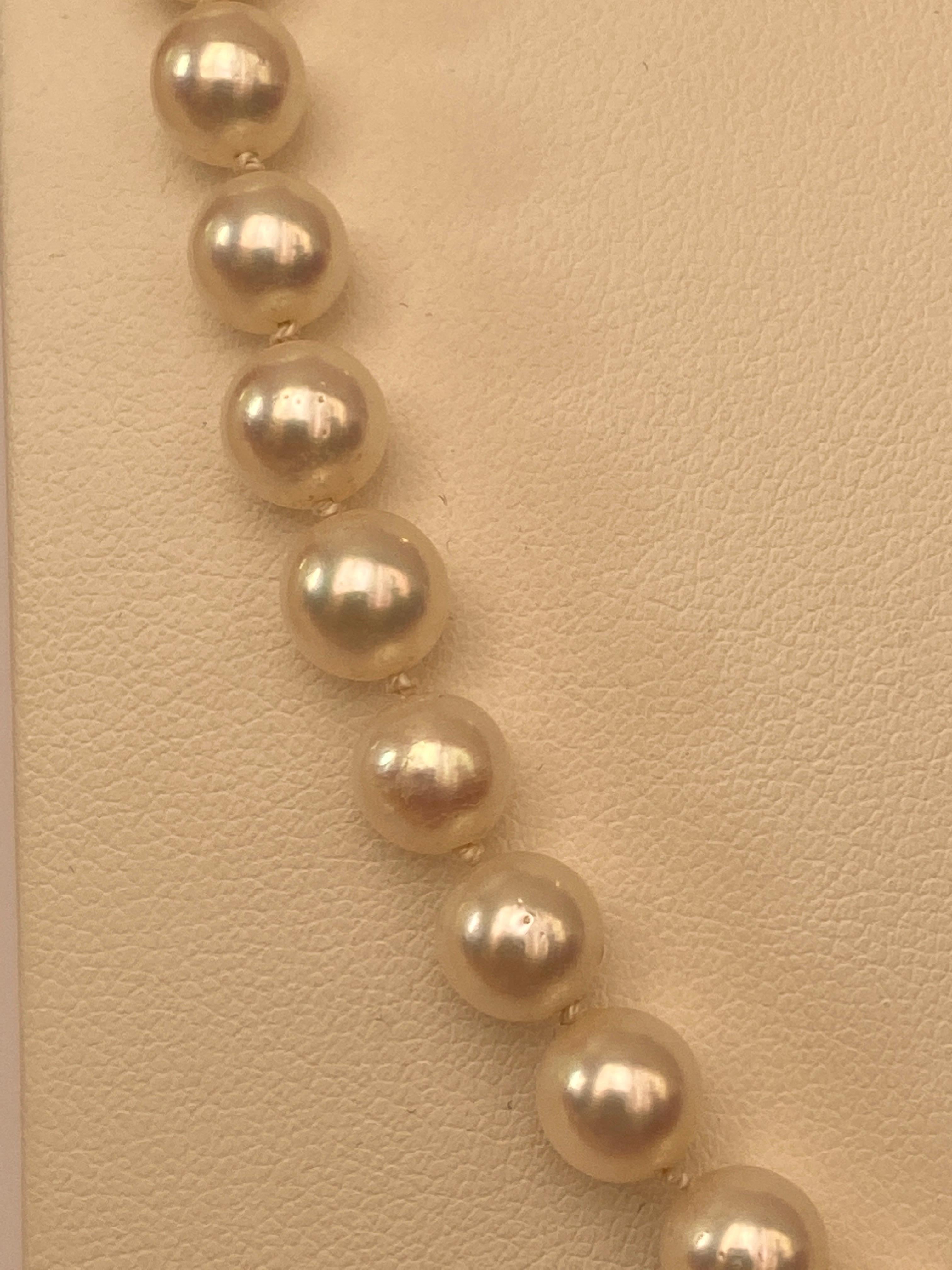 Akoya pearl necklace with 18 kt yellow gold clasp 2