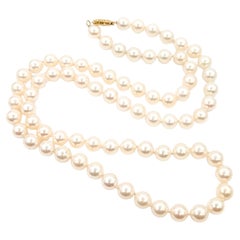 Akoya Pearl Strand Necklace in 14k Yellow Gold Akoya Pearl Strand Necklace in 14k Yellow Gold