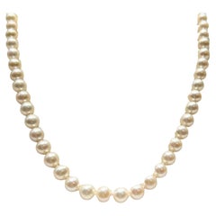 Akoya Pearl with 14k Yellow Gold Fish Hook Clasp