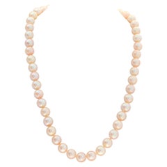 Akoya pearls with pink golden hues with sterling silver clasp