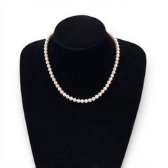 Akoya White Round Pearls 5.5 mm Silver Round Clasp Necklace cm 43