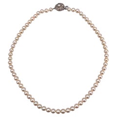 Akoya White Round Pearls 5.5 mm Silver Round Clasp Necklace cm 43