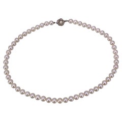 Akoya White Round Pearls 7mm Silver Clasp Necklace cm 42 Akoya White Round Pearls 7mm Silver Clasp Necklace cm 42