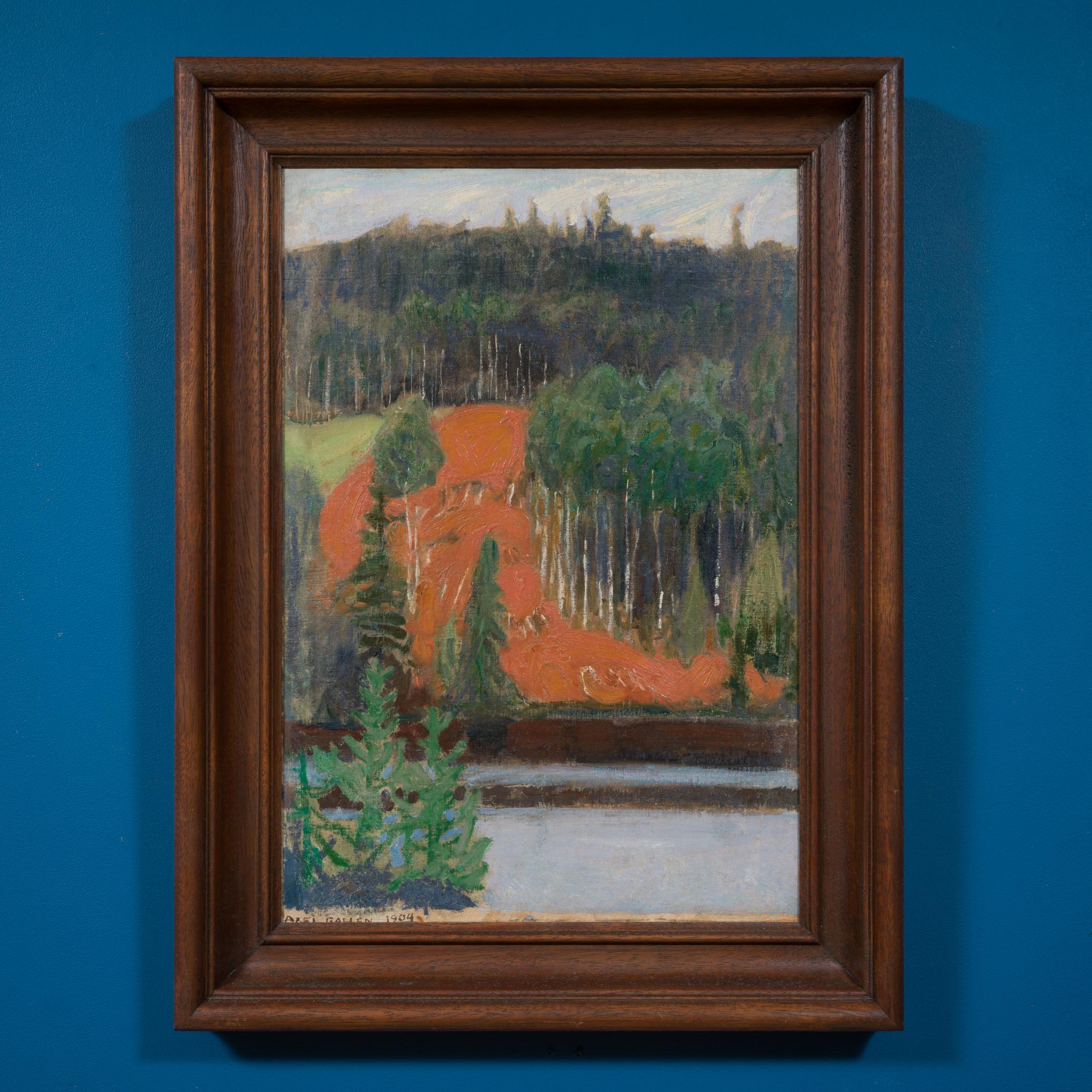 Blick auf einen Berghang über ein Gewässer; Blick vom Keitele oder Ruovesi im Angebot 2