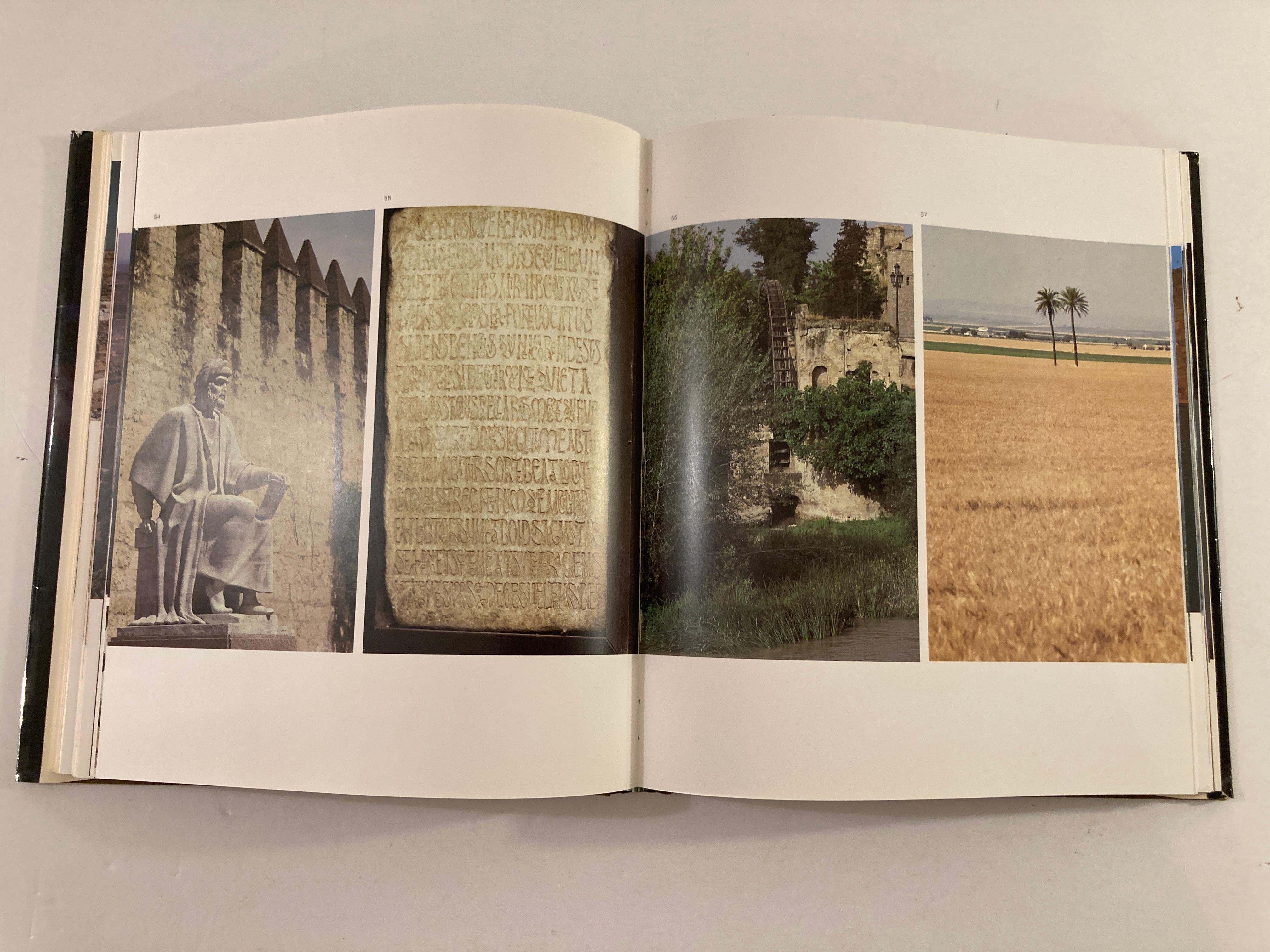AL-ANDALUS. El Islam en España by Juan Vernet, Martin Martinez, Collectible Book For Sale 6