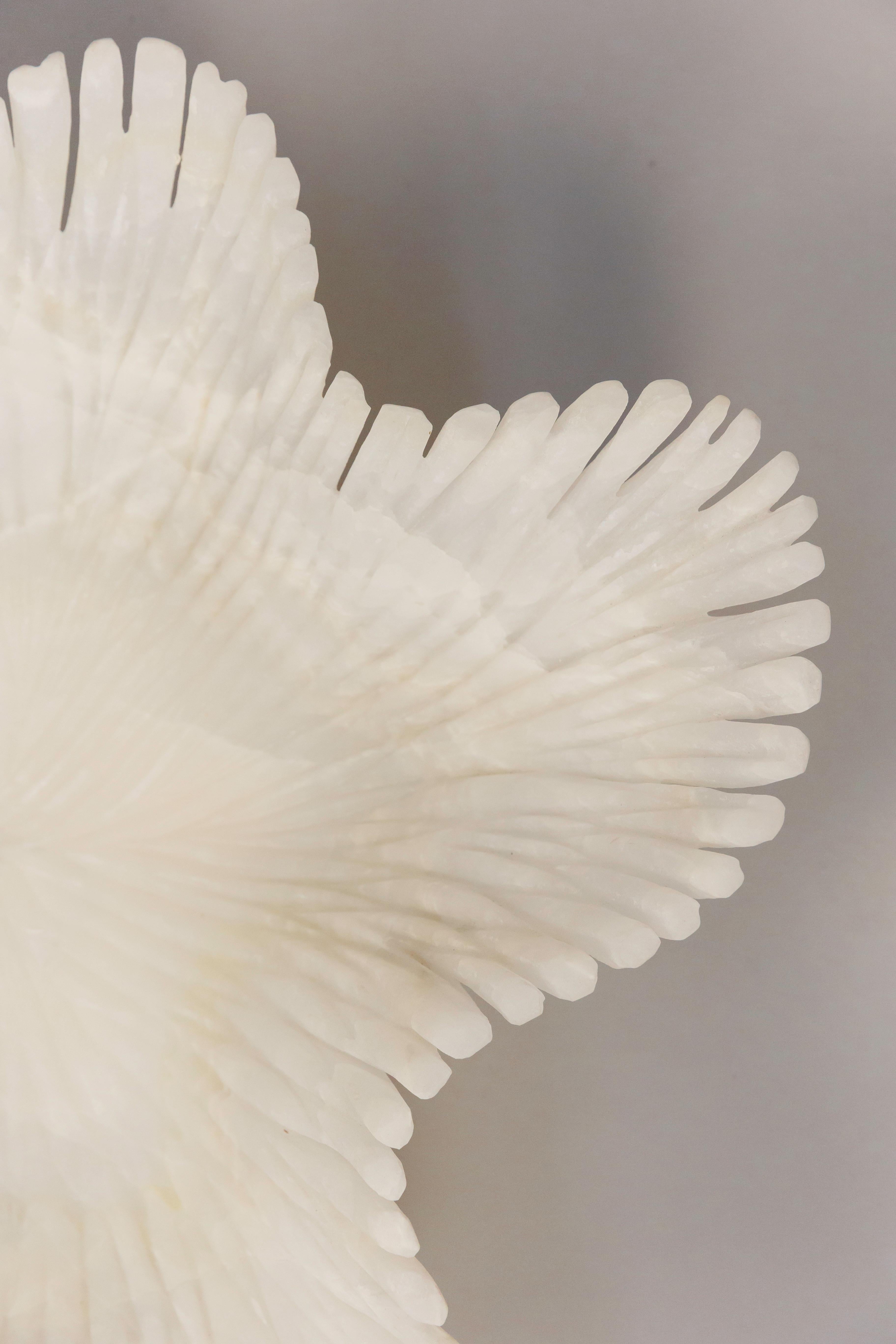 Handcrafted in Mexico from Natural Onyx

What makes Alabaja truly special is not only its sculptural presence, but the story it carries within its stone. Each bowl is entirely handcrafted by skilled artisans from Zacatecas, Mexico, using traditional