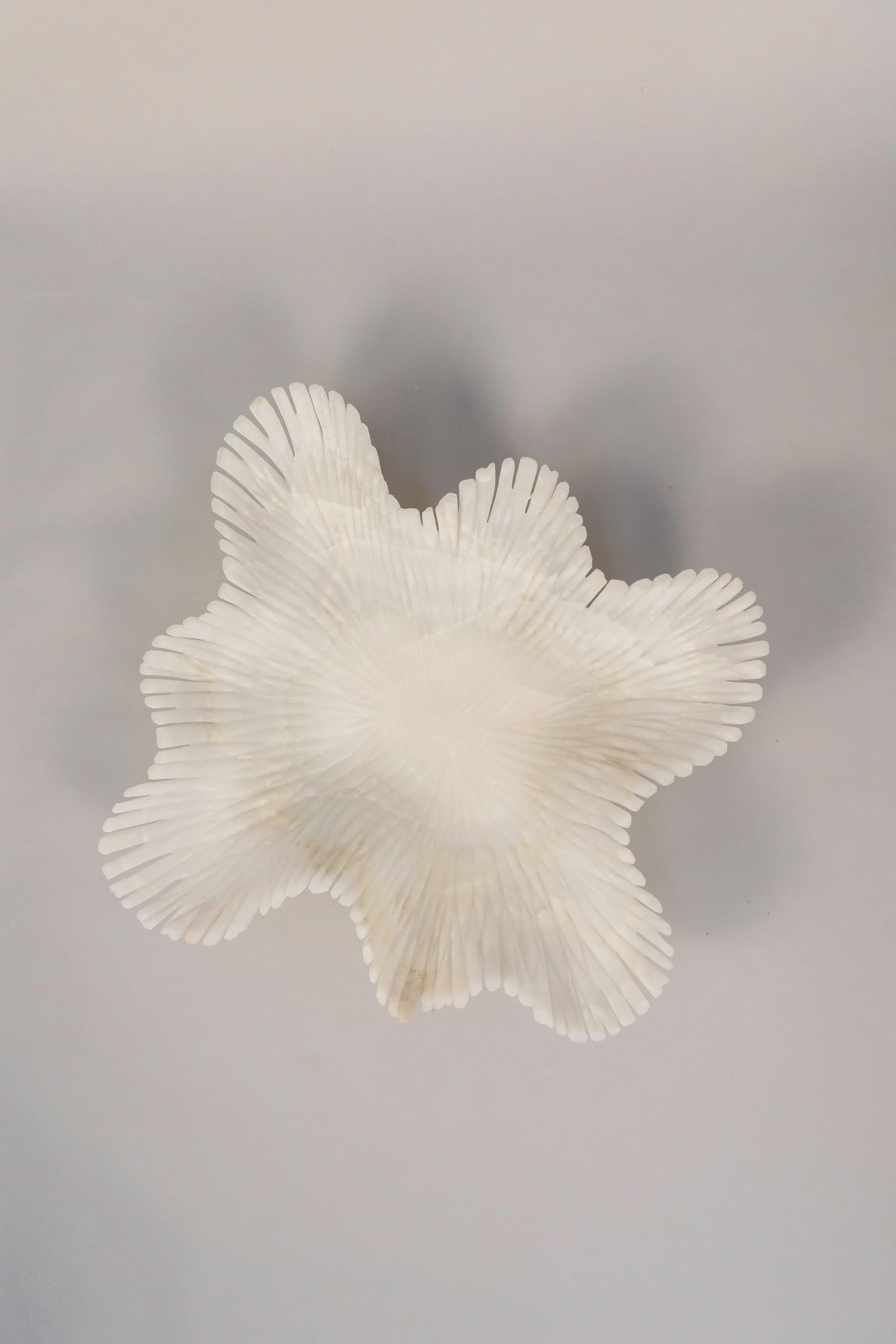 Mid-Century Modern Alabaja – Modernist Coral Bowl in White Onyx For Sale
