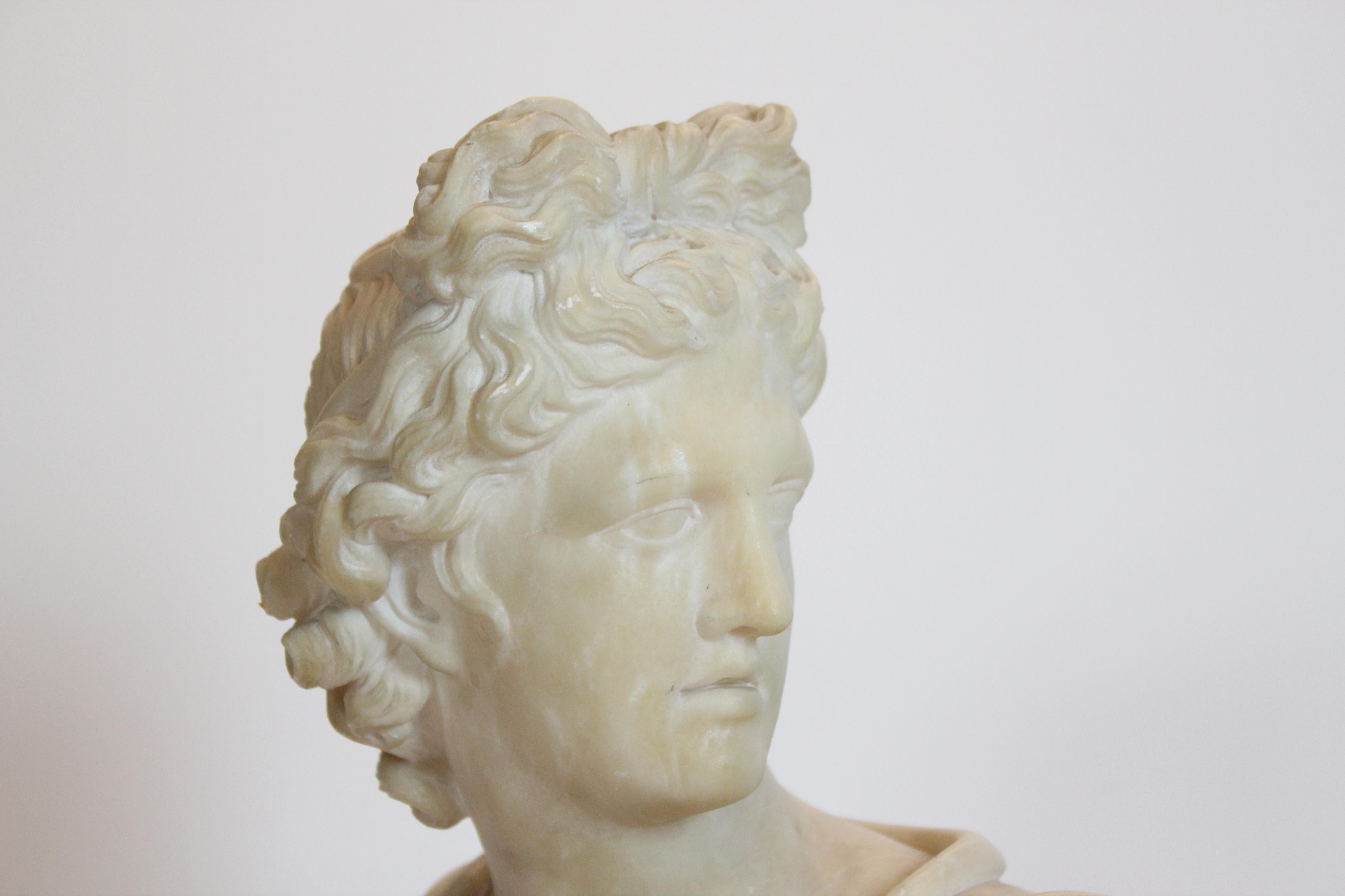 Early 20th Century Alabaster Apollo Bust