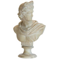 Alabaster Apollo Bust