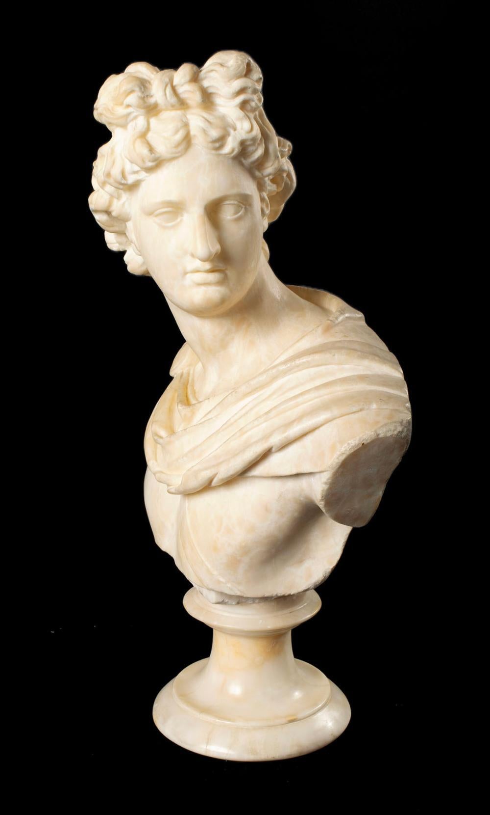 Alabasterbüste des Apollo aus Alabaster, Italien, 19. Jahrhundert im Angebot 2