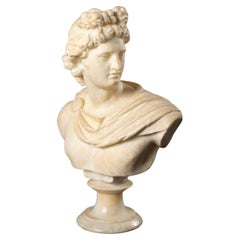 Alabasterbüste des Apollo aus Alabaster, Italien, 19. Jahrhundert
